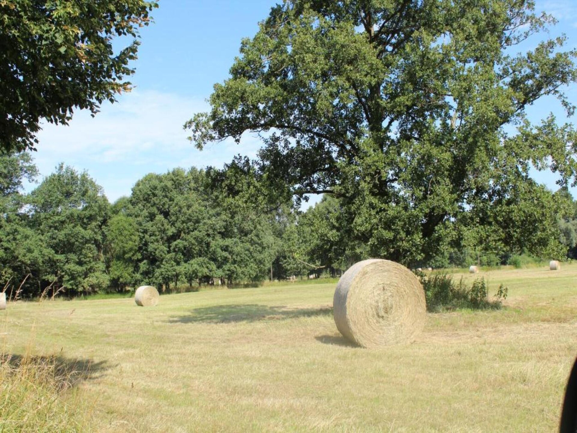 Waldblick: vrijstaand huis aan de bosrand in Schmogrow-Fehrow - foto 40