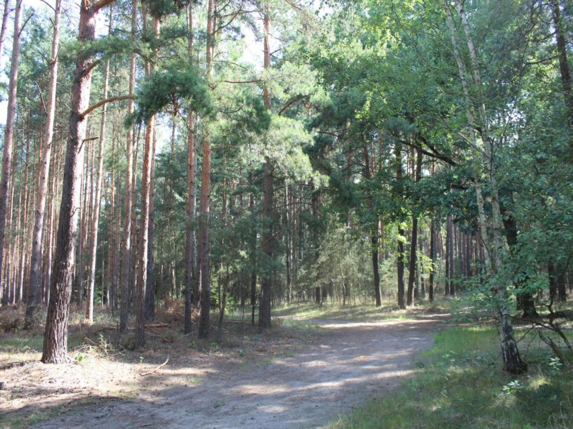 Waldblick: vrijstaand huis aan de bosrand in Schmogrow-Fehrow - foto 28