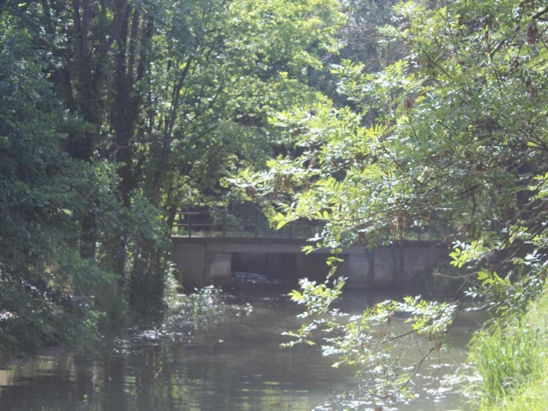 Waldblick: vrijstaand huis aan de bosrand in Schmogrow-Fehrow - foto 29