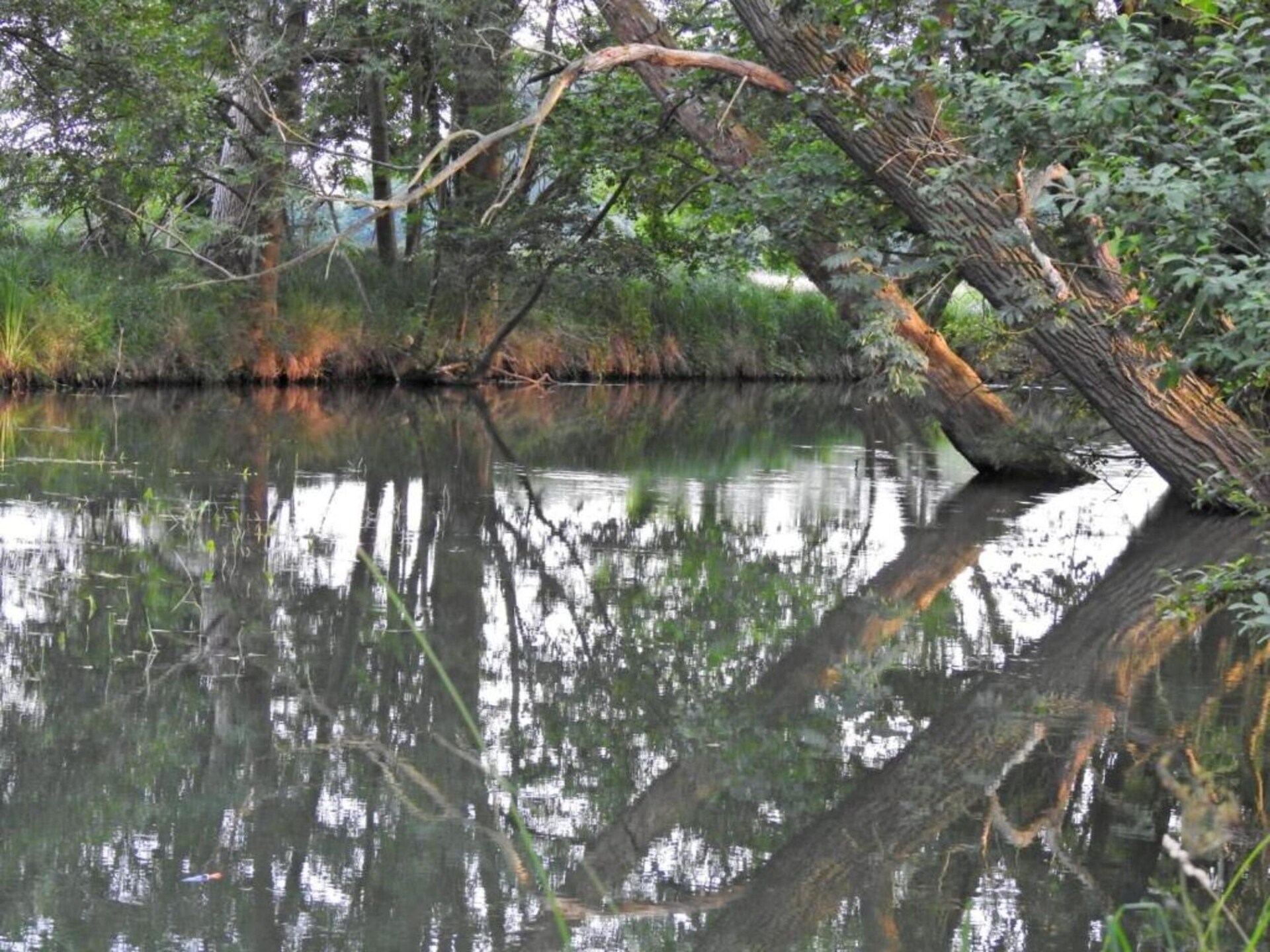 Waldblick: vrijstaand huis aan de bosrand in Schmogrow-Fehrow - foto 30