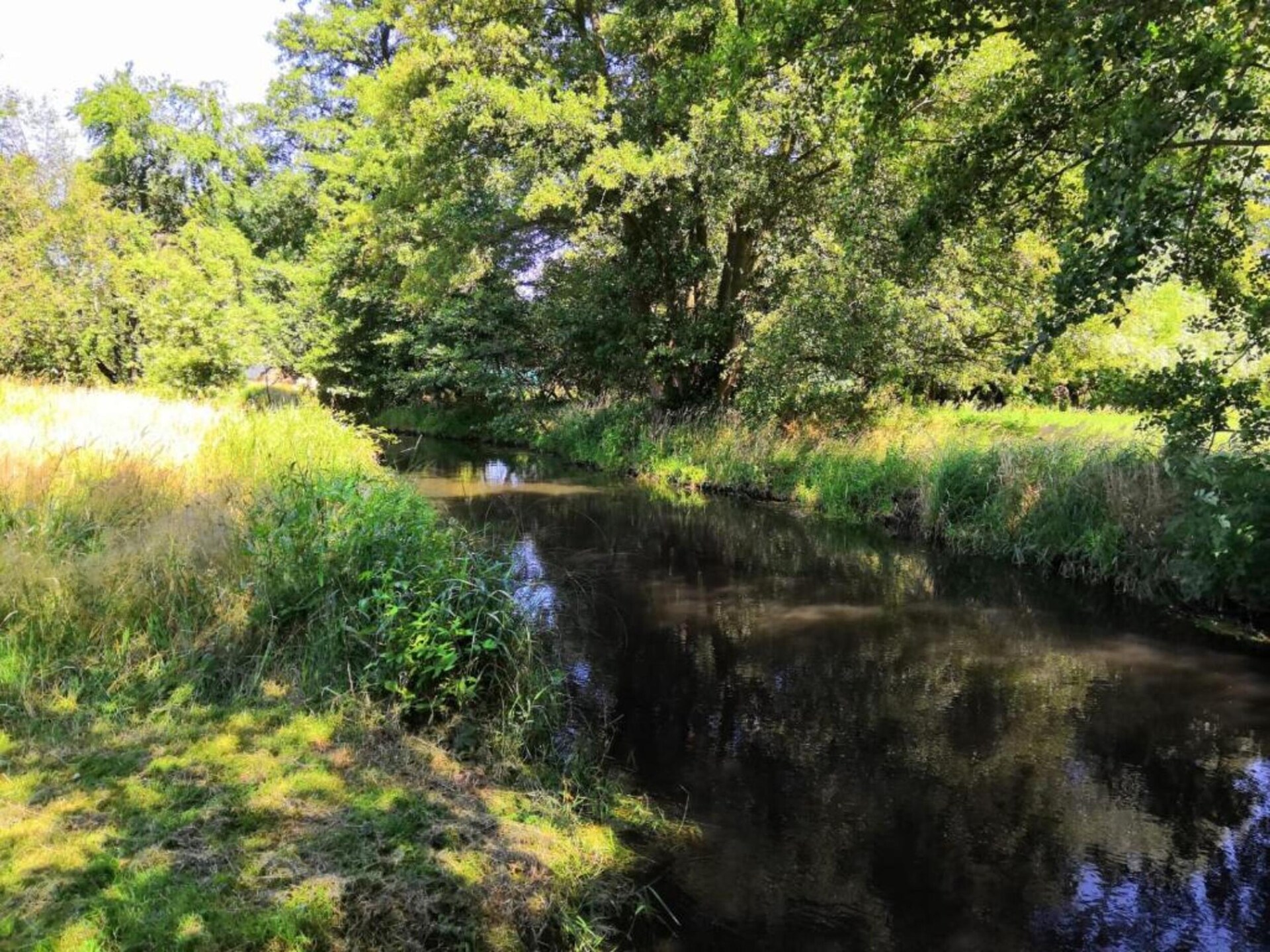 Waldblick: vrijstaand huis aan de bosrand in Schmogrow-Fehrow - foto 31