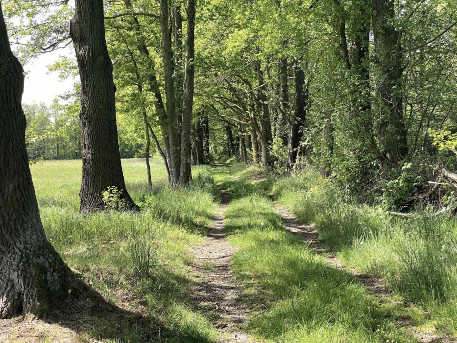 Waldblick: vrijstaand huis aan de bosrand in Schmogrow-Fehrow - foto 25