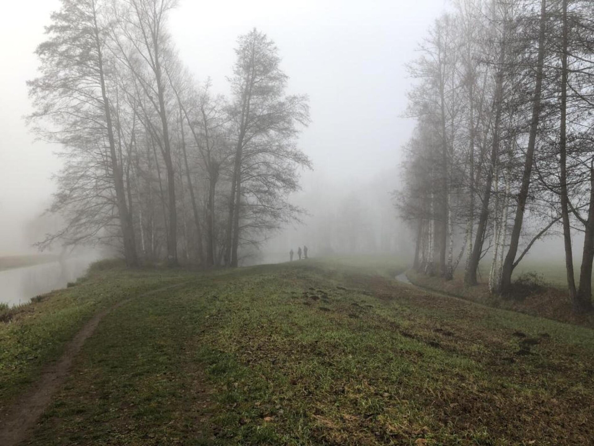 Waldblick: vrijstaand huis aan de bosrand in Schmogrow-Fehrow - foto 23