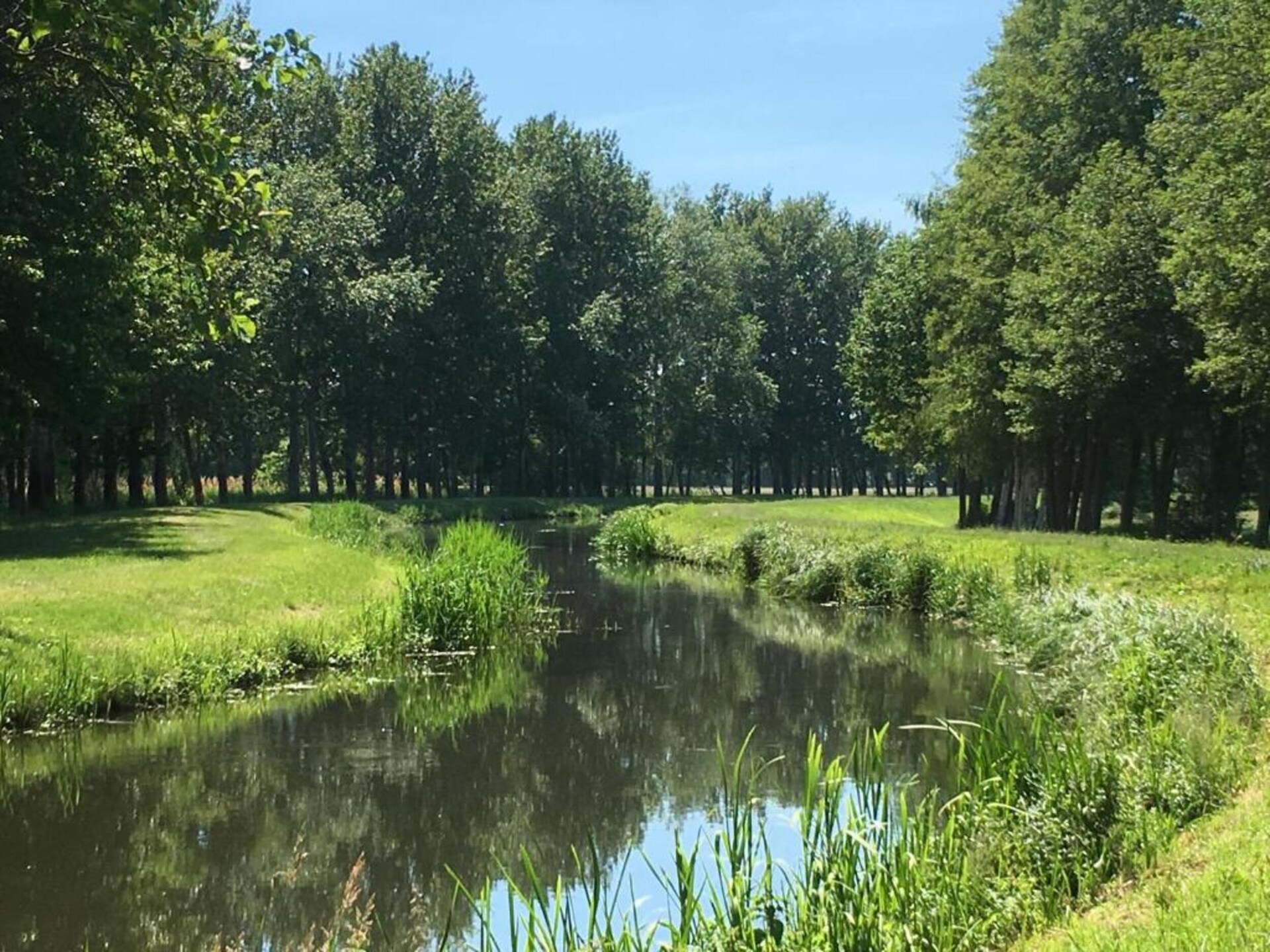 Waldblick: vrijstaand huis aan de bosrand in Schmogrow-Fehrow - foto 34