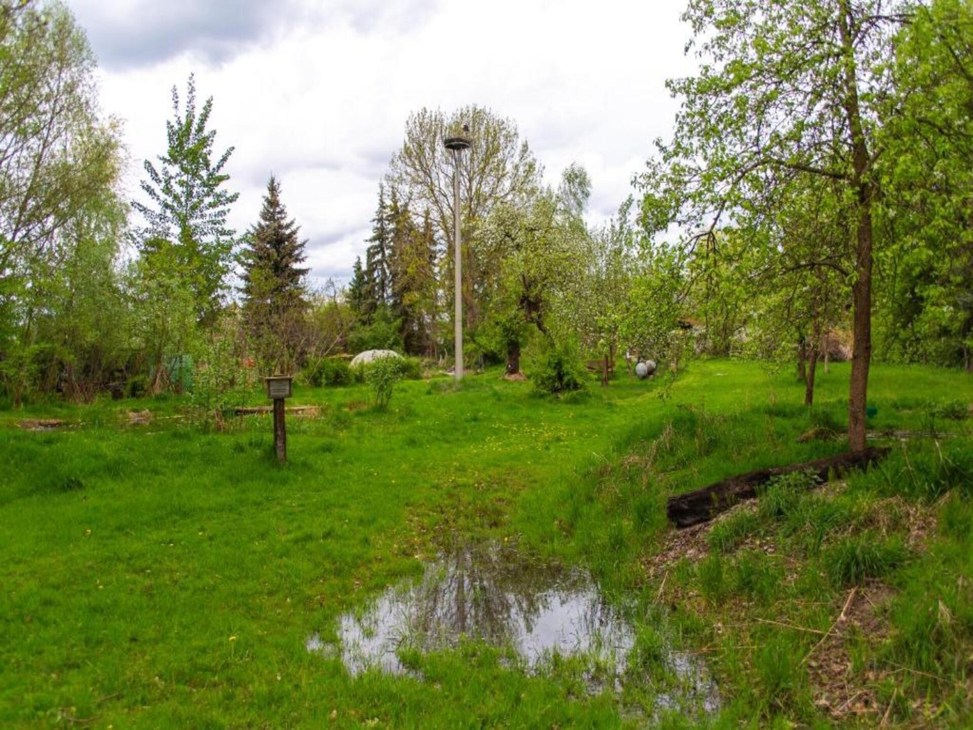 Waldblick: vrijstaand huis aan de bosrand in Schmogrow-Fehrow - foto 36