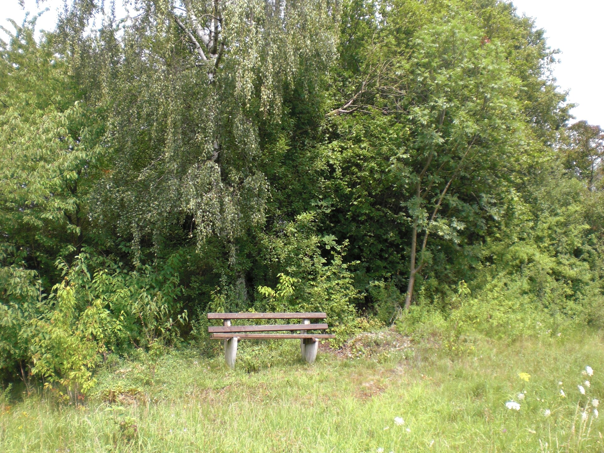 Knus boshuisje voor 2 in het Knüllgebergte met tuin - foto 15