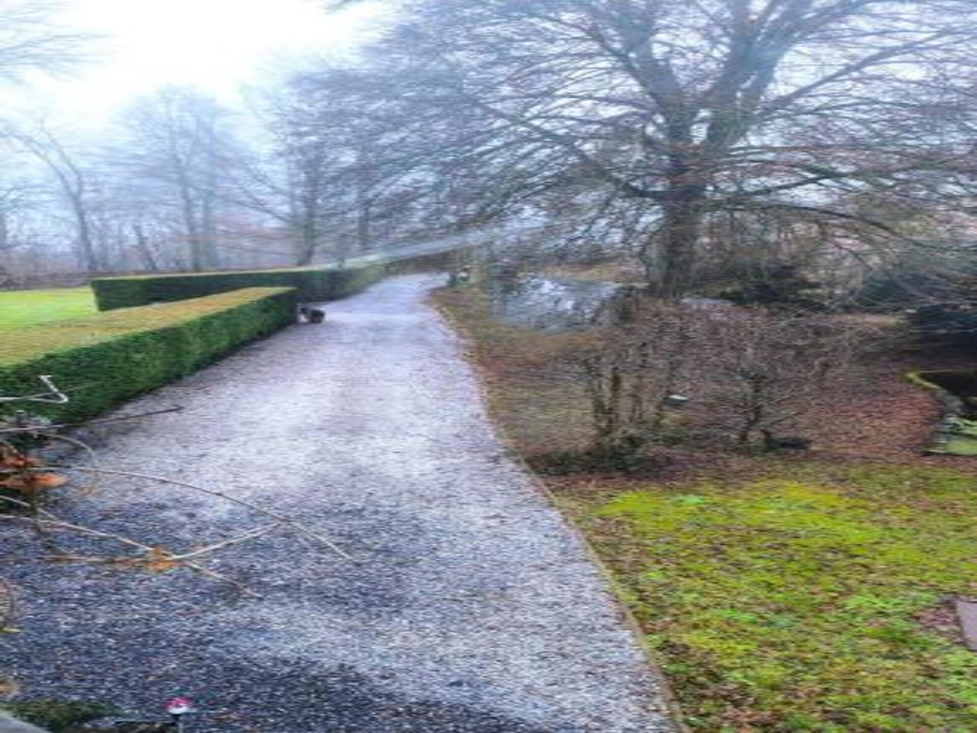 12-persoons houten chalet met tuin in hartje Durbuy - foto 30