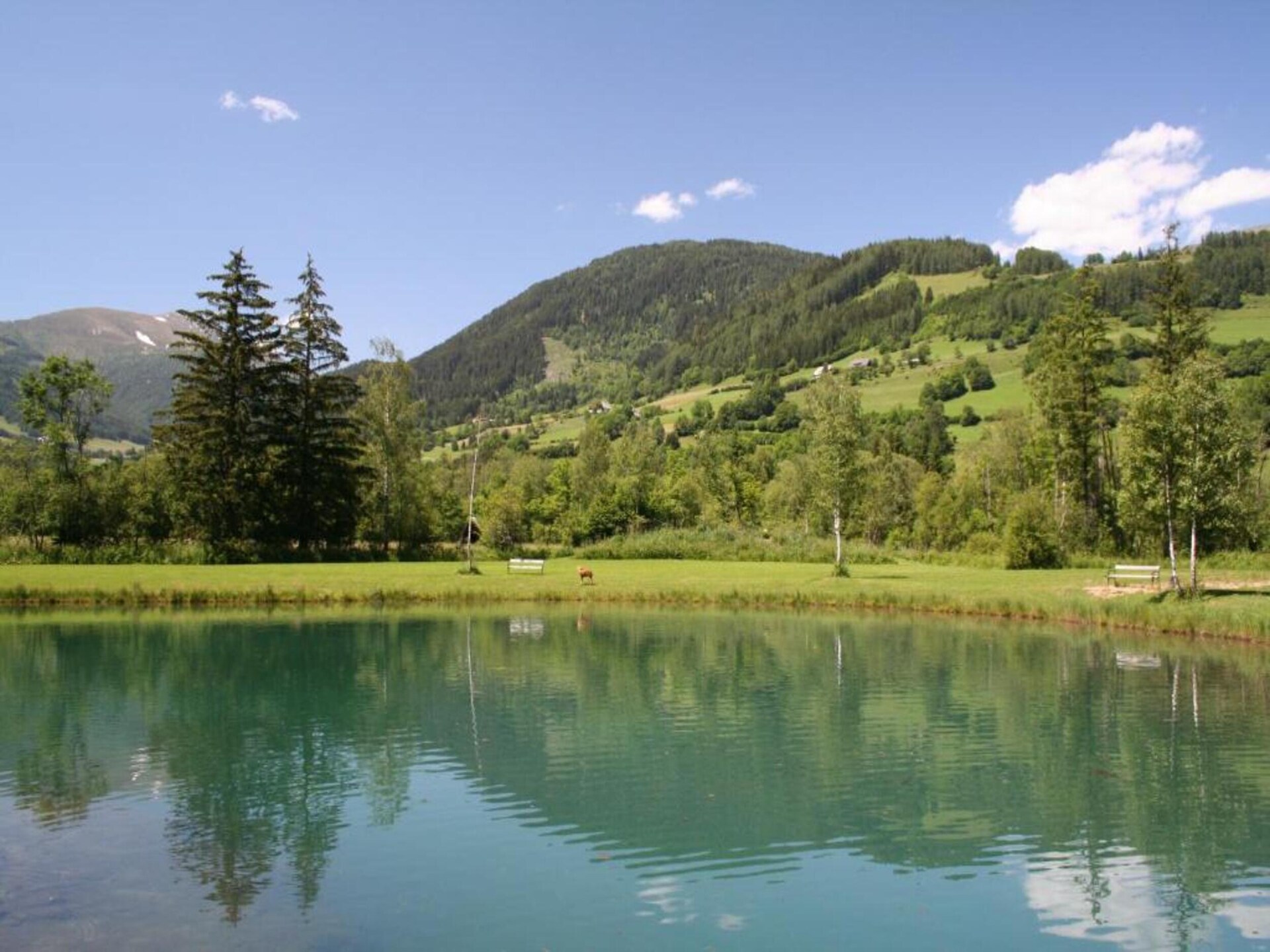 Vrijstaand vakantiehuis aan de Turracherhöhe met hottub en bergzicht - foto 20