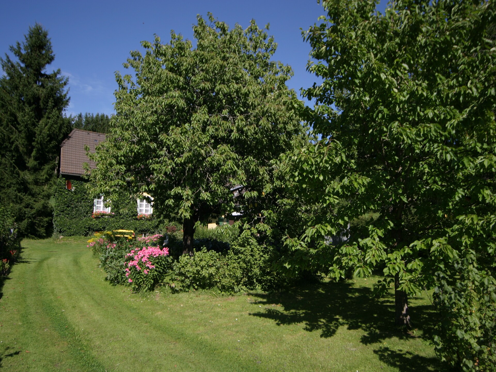 Rustiek vrijstaand vakantiehuis in Scheifling met grote tuin, hond toegestaan - foto 13