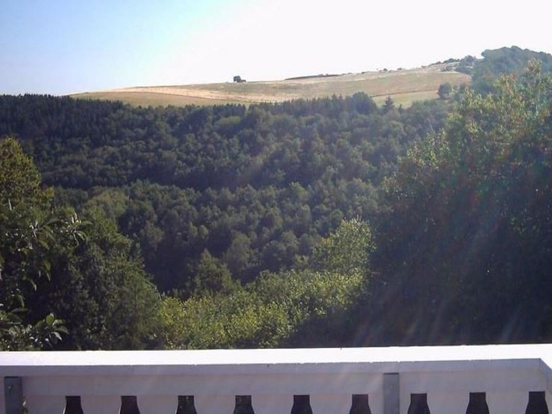 Landhuis Hubertusstube: 5 pers. vakantiehuis met tuin in Morbach-Riedenburg - foto 21
