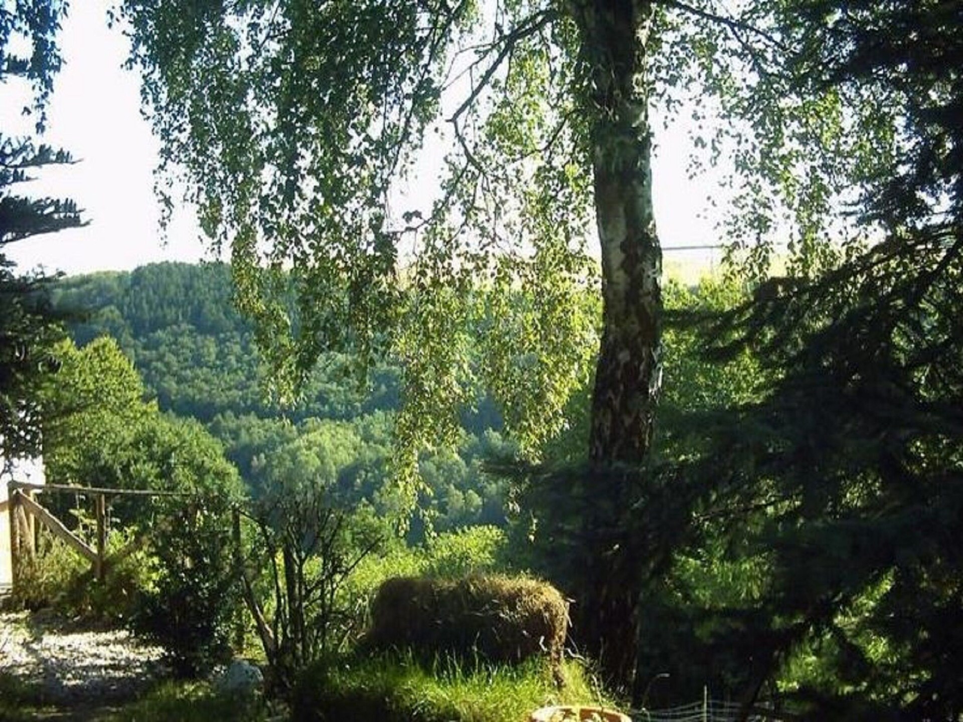 Landhuis Hubertusstube: 5 pers. vakantiehuis met tuin in Morbach-Riedenburg - foto 20