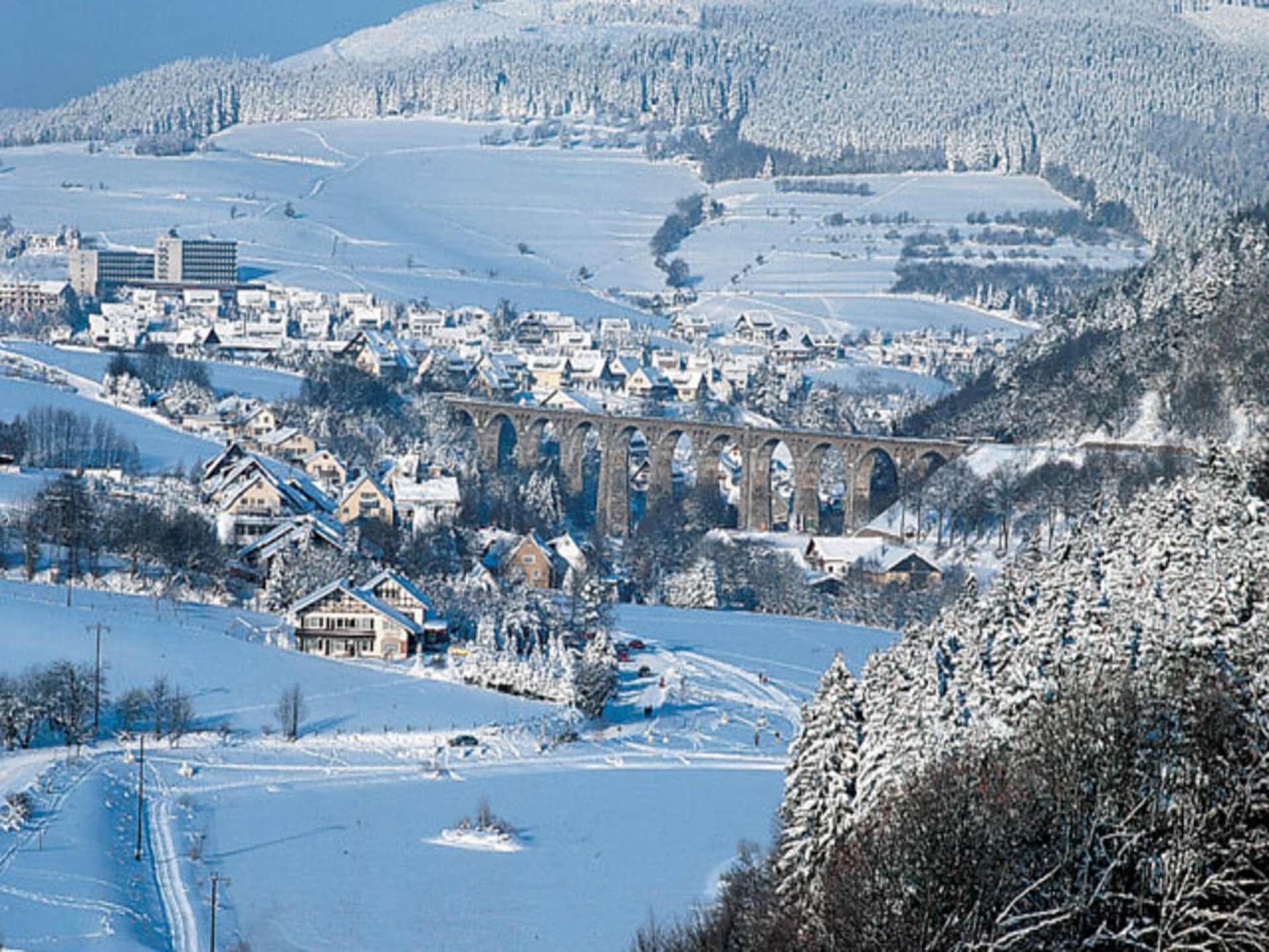 8-persoons vakantiehuis in Willingen op 700 m van de piste - foto 40