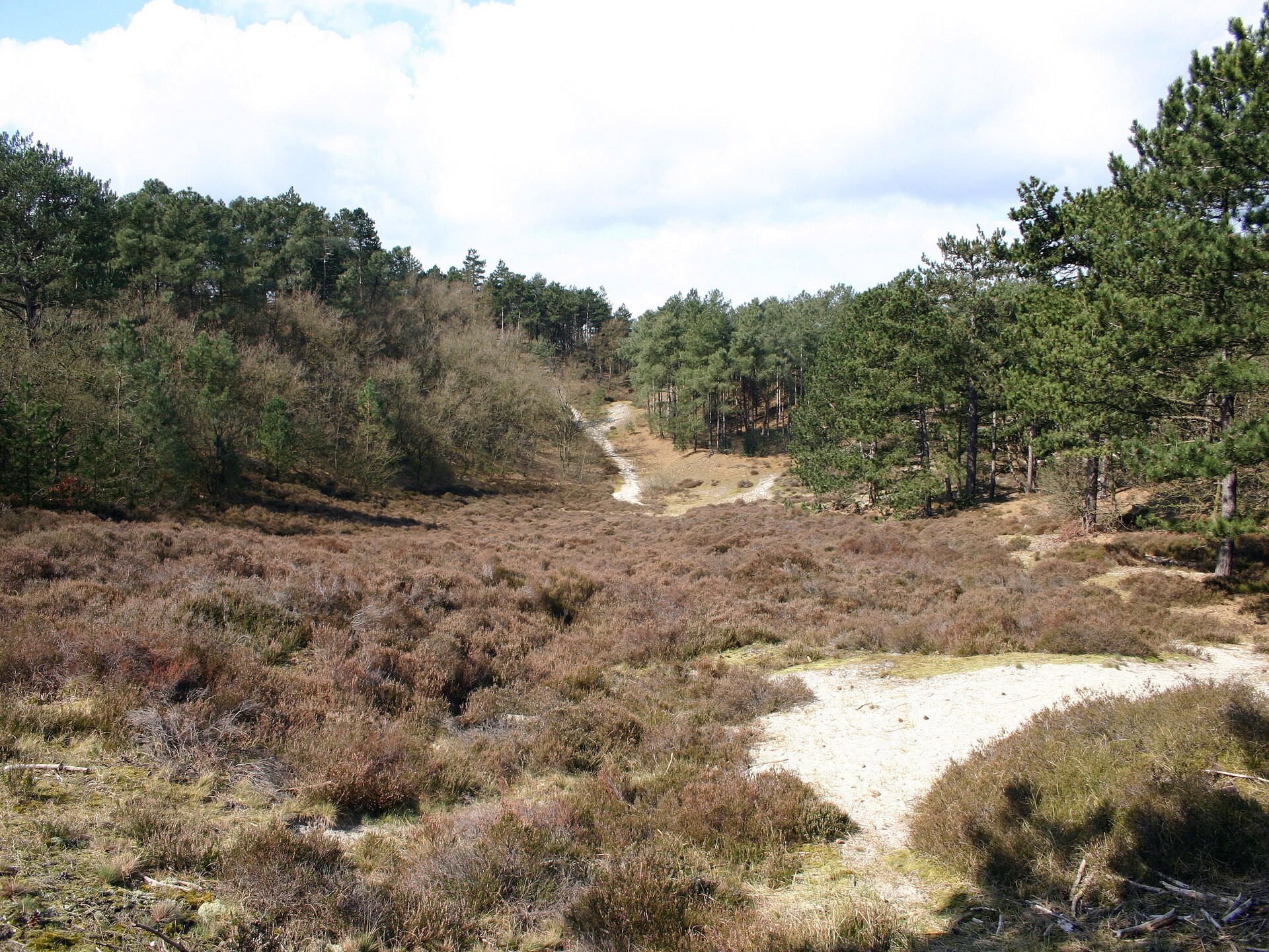 Vrijstaand vakantiehuis in Schoorl met tuin, dichtbij duinen en strand - foto 17