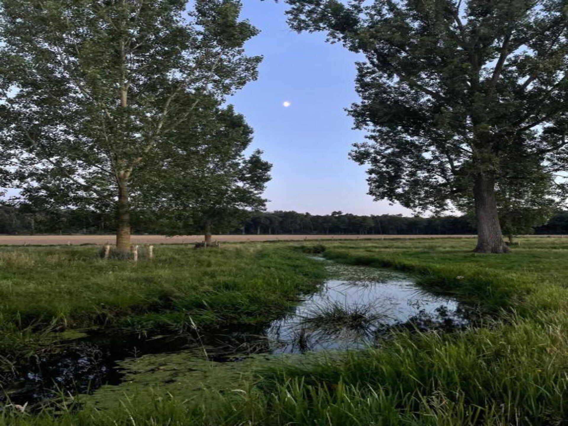 Limburgse vakantieboerderij voor 7 personen op Buitenhof De Leistert - foto 40