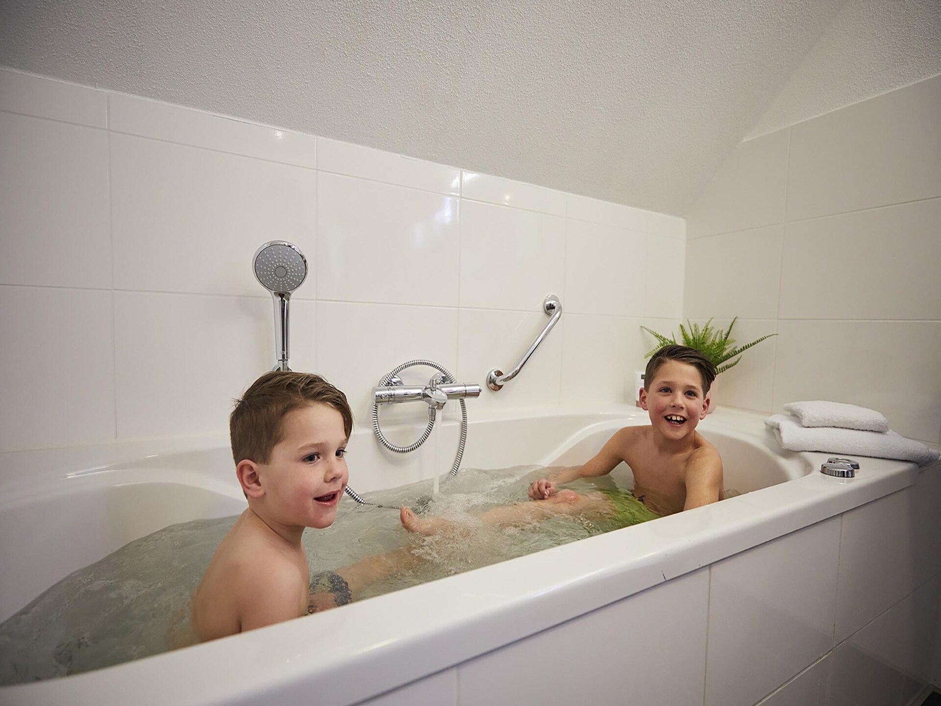 Vrijstaande Limburgse boerderijvilla met sauna op vijfsterrenpark voor 9 personen - foto 16