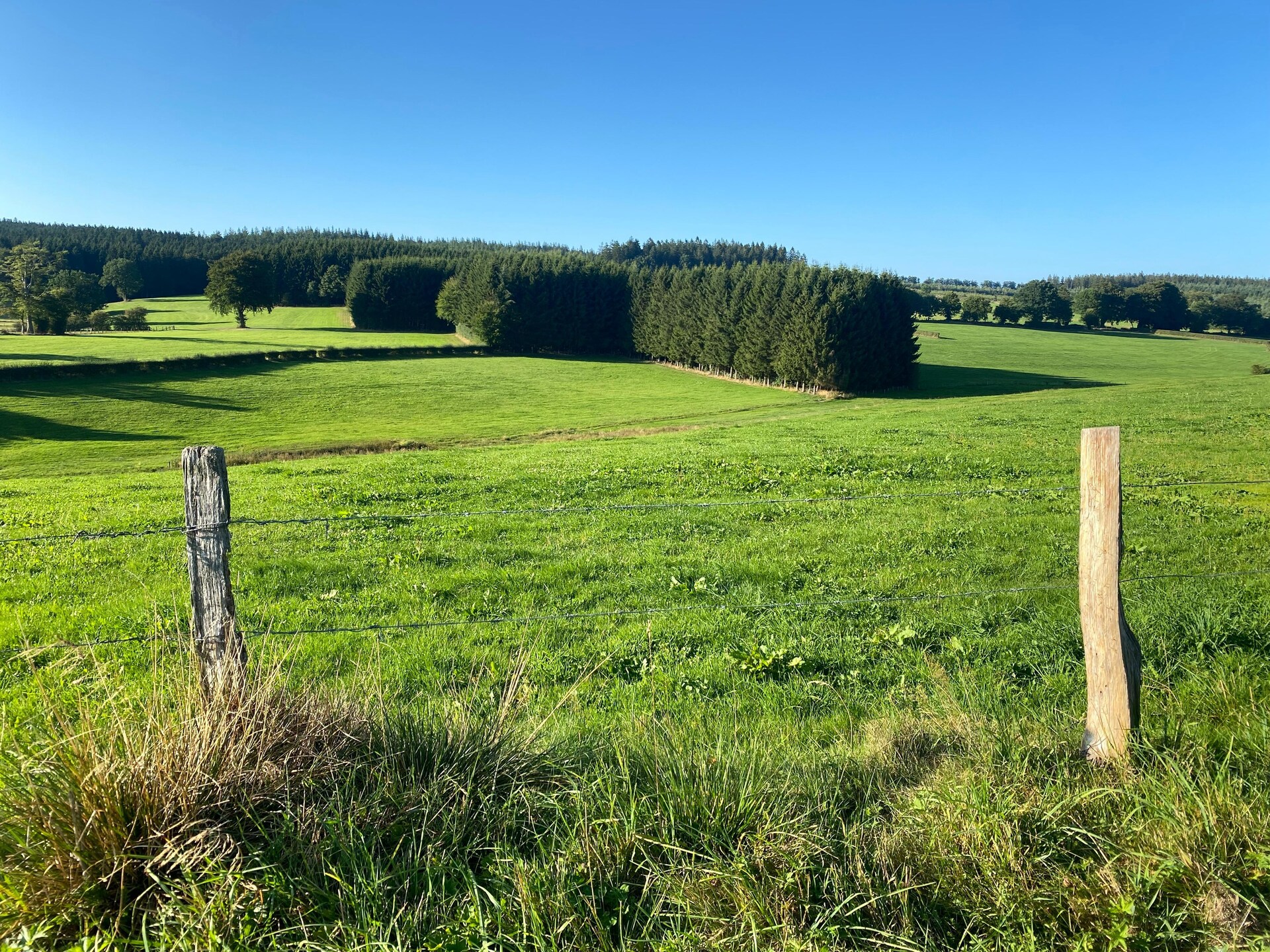 Knus appartement voor 5 aan de rand van het bos in Nidrum - foto 24
