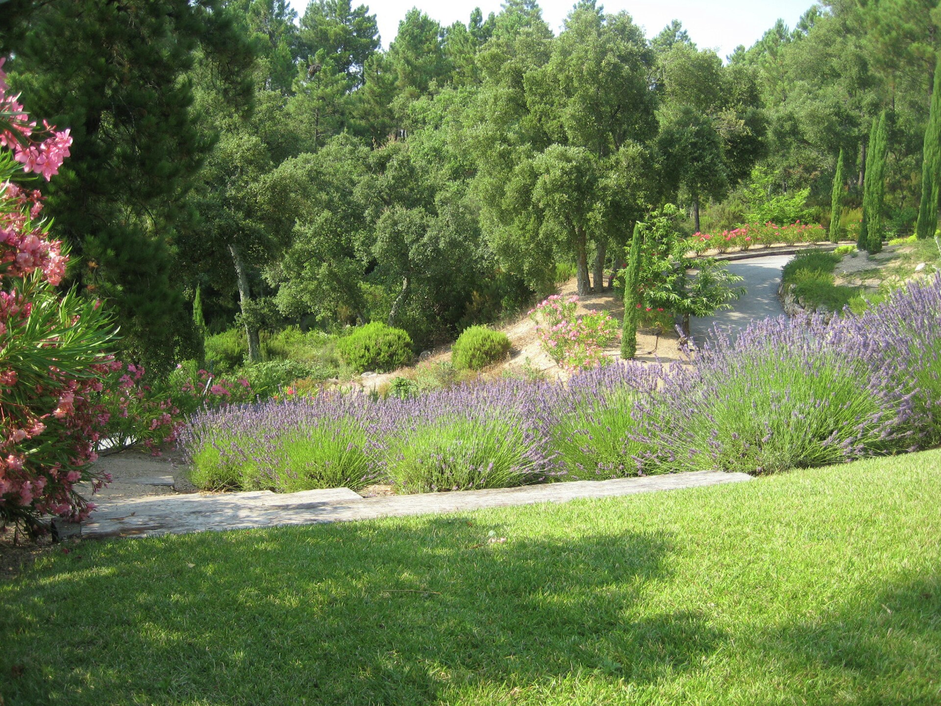 Ruime mediterrane villa met privézwembad bij Sainte-Maxime - foto 19
