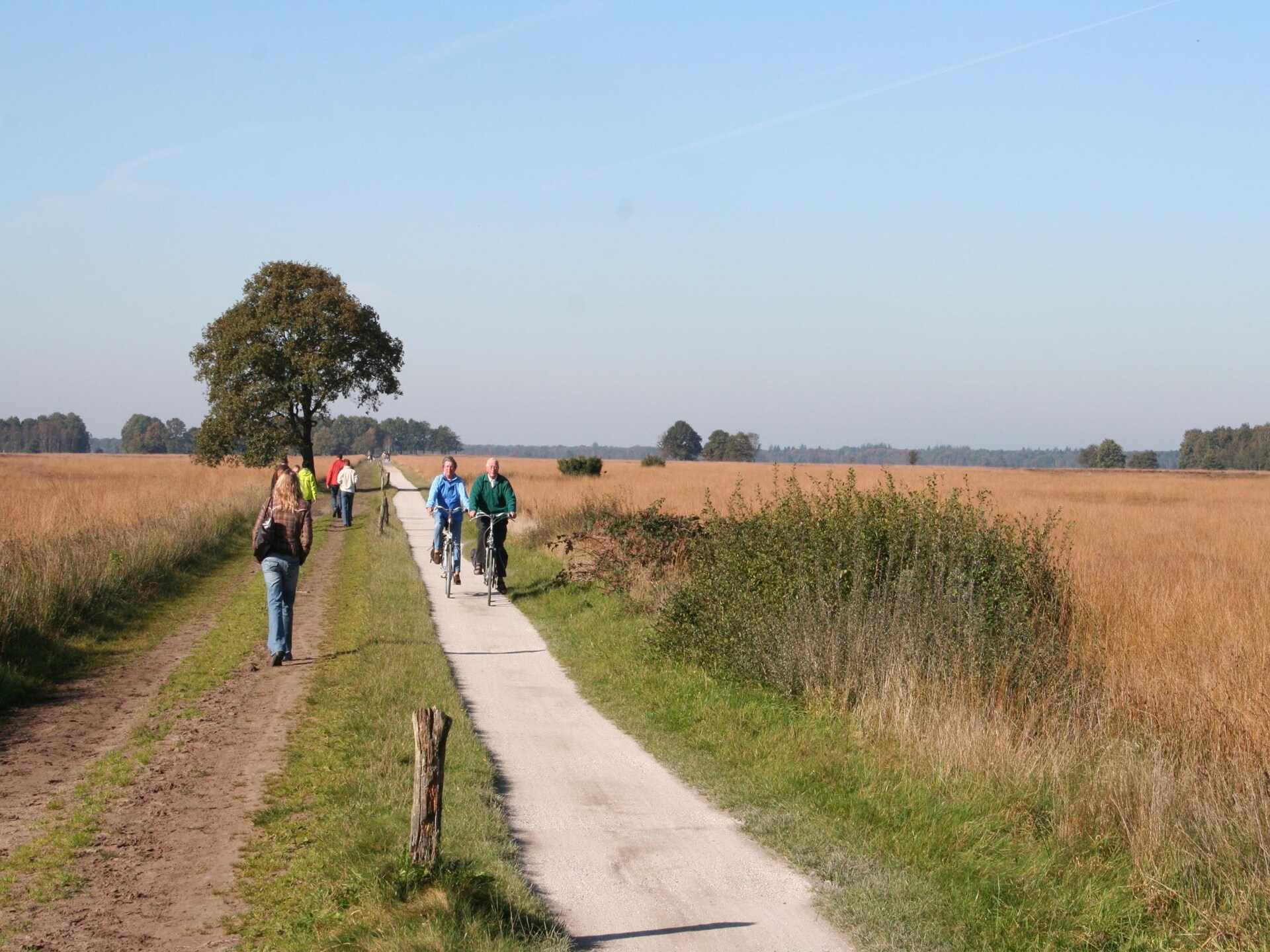 Luxe vrijstaande villa op vakantiepark in rustig Ruinen, Drenthe - foto 25