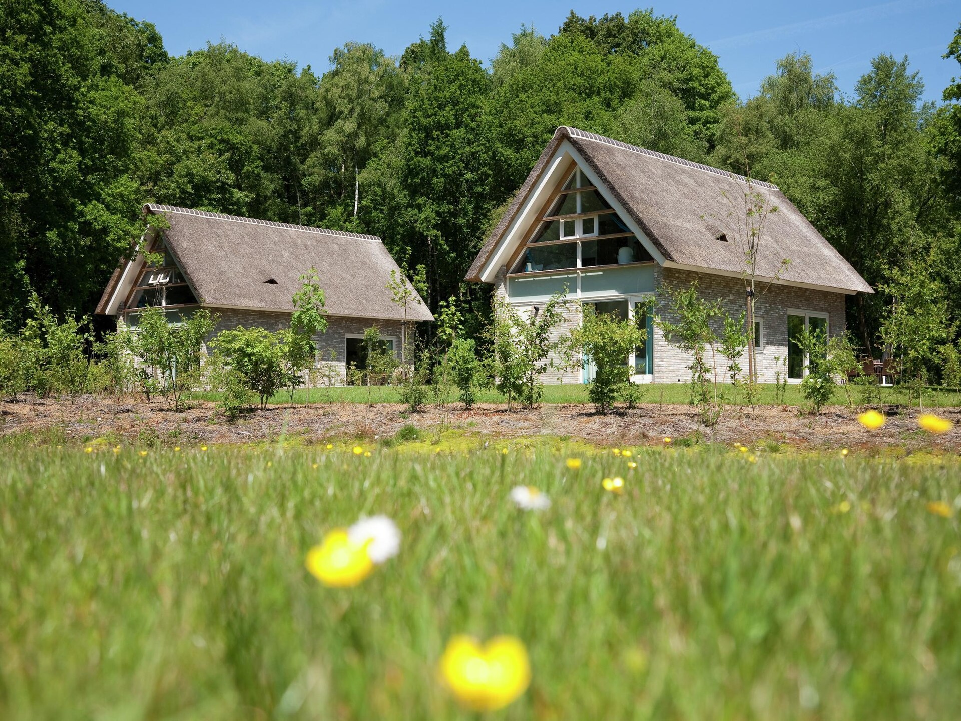 Luxe vrijstaande villa op vakantiepark in rustig Ruinen, Drenthe - foto 13