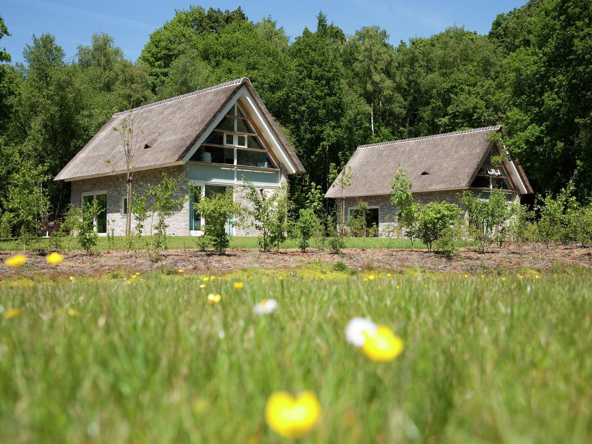 Luxe vrijstaande villa op vakantiepark in rustig Ruinen, Drenthe - foto 9