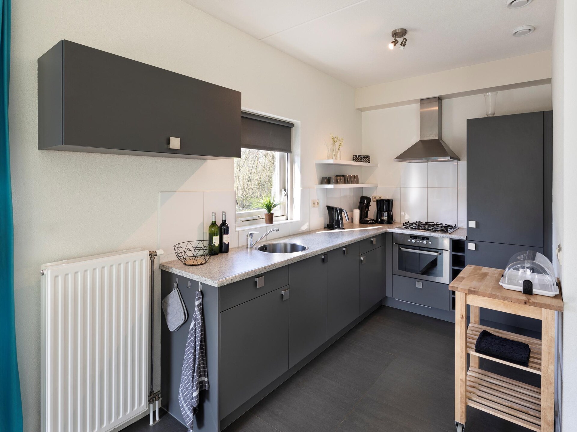 Luxe vrijstaande villa op vakantiepark in rustig Ruinen, Drenthe - foto 5