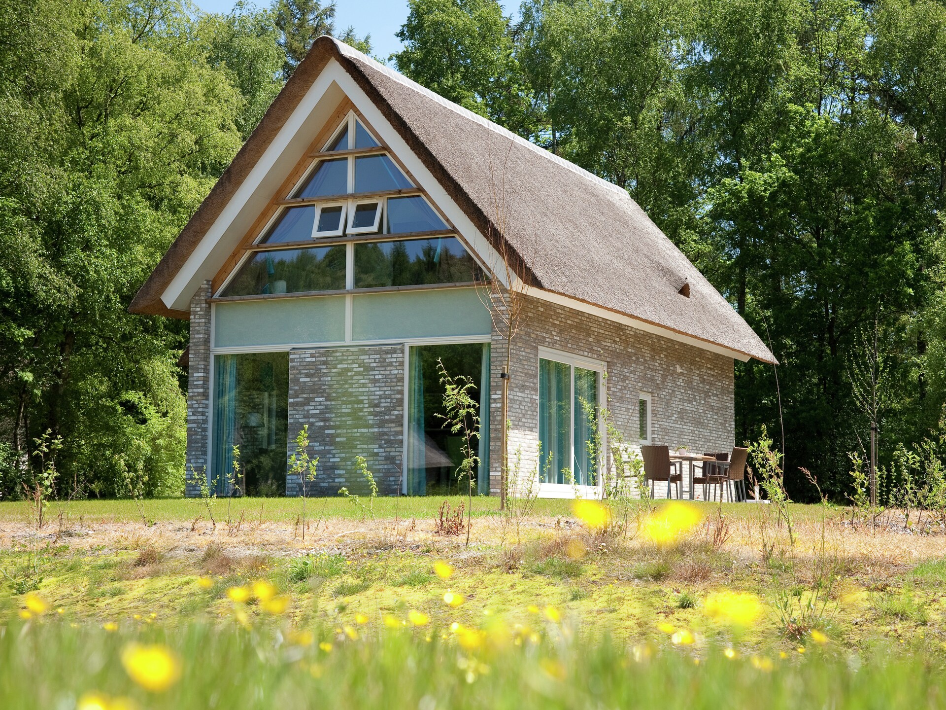 Wellnessvilla voor 8 personen in Drents natuurgebied bij Ruinen - foto 2