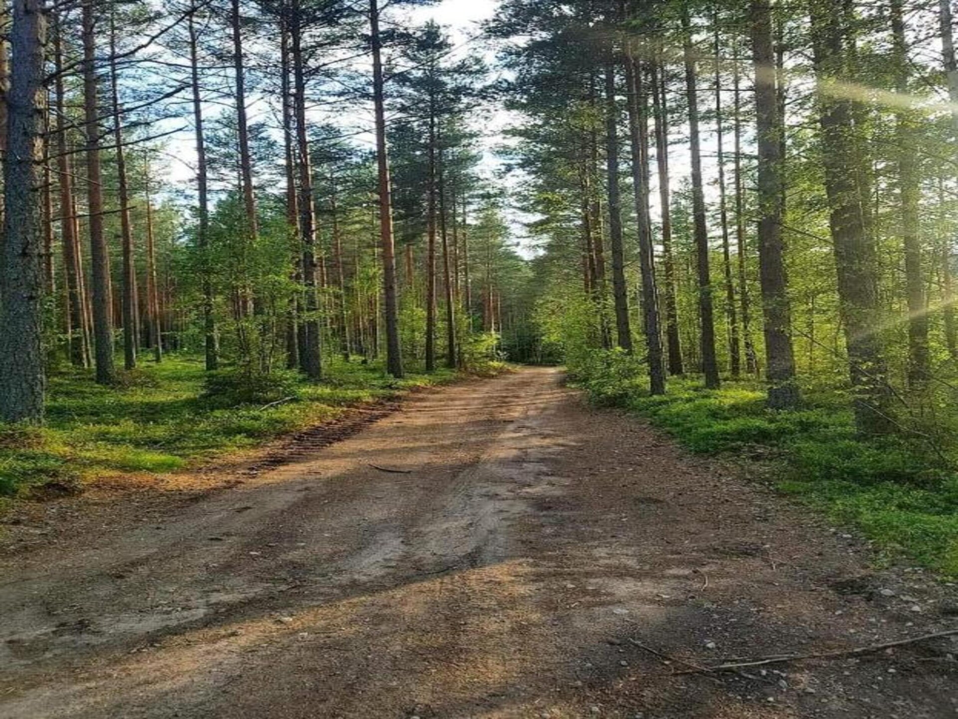 Rivierchalet met sauna en uitzicht op Övre Brocken, Torsby - foto 30