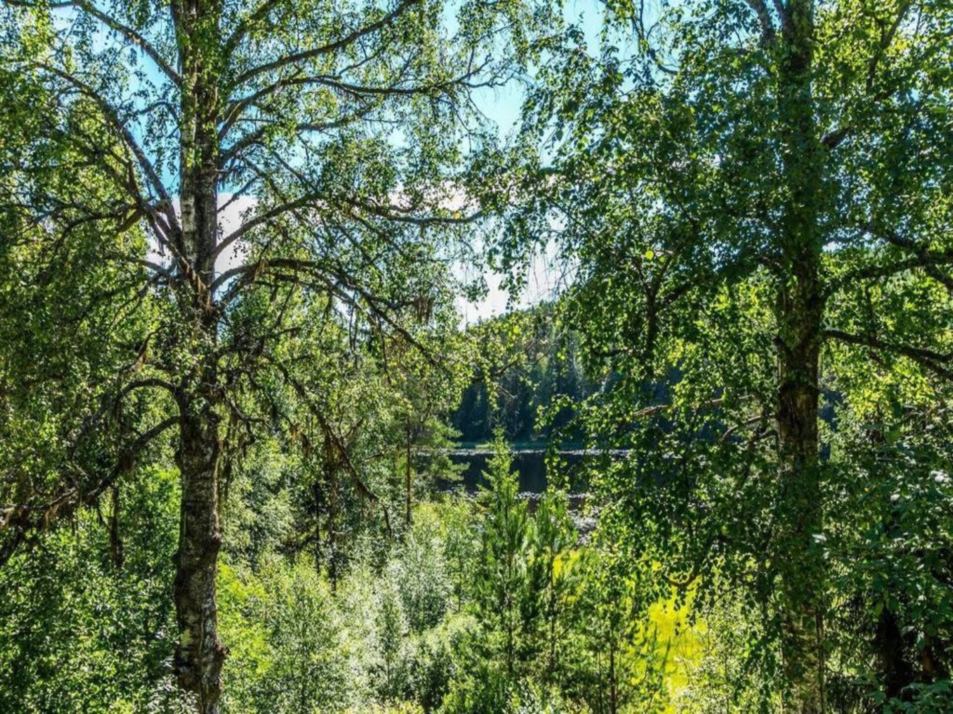 Rivierchalet met sauna en uitzicht op Övre Brocken, Torsby - foto 28