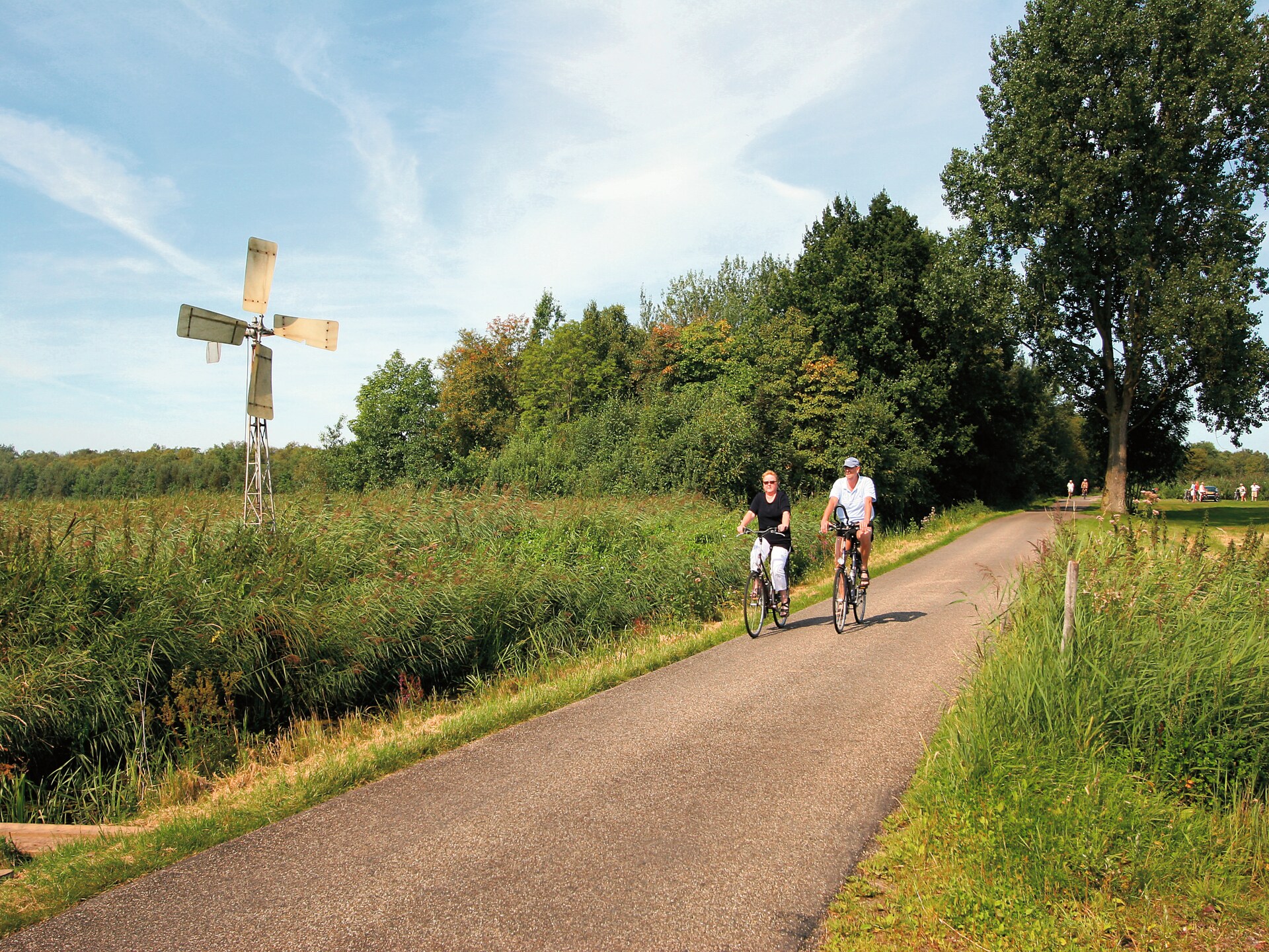 Vrijstaand vakantiehuis met sauna en gashaard op Recreatiepark Tolplas - foto 37