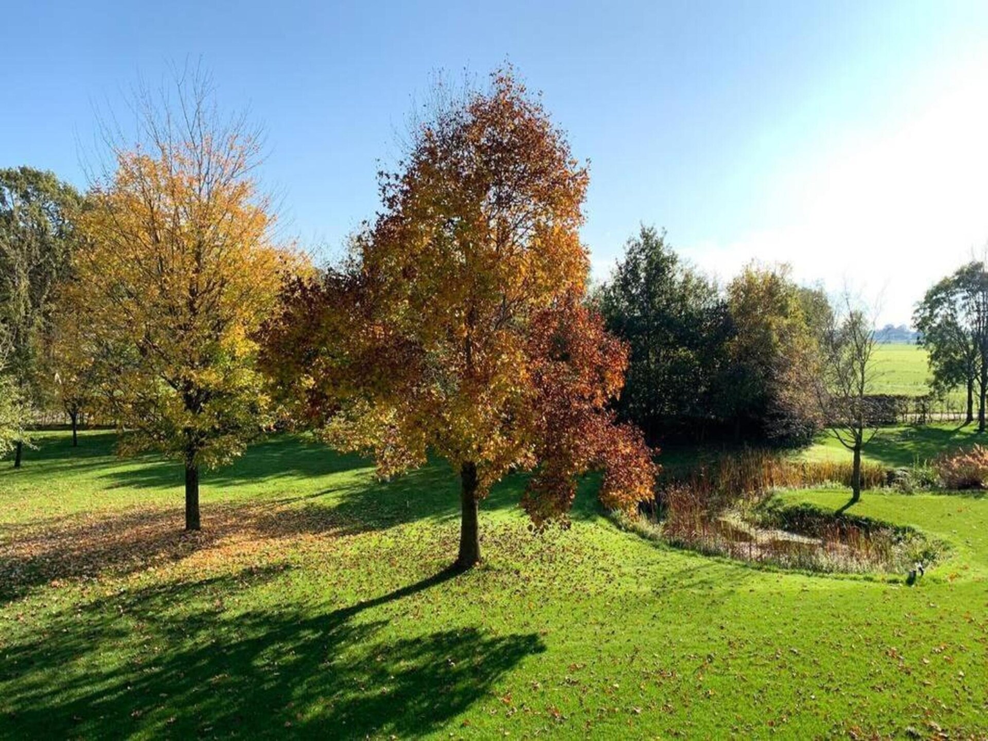 Wellness chalet met tuin en sauna op recreatiepark Tolplas in Hoge Hexel - foto 28