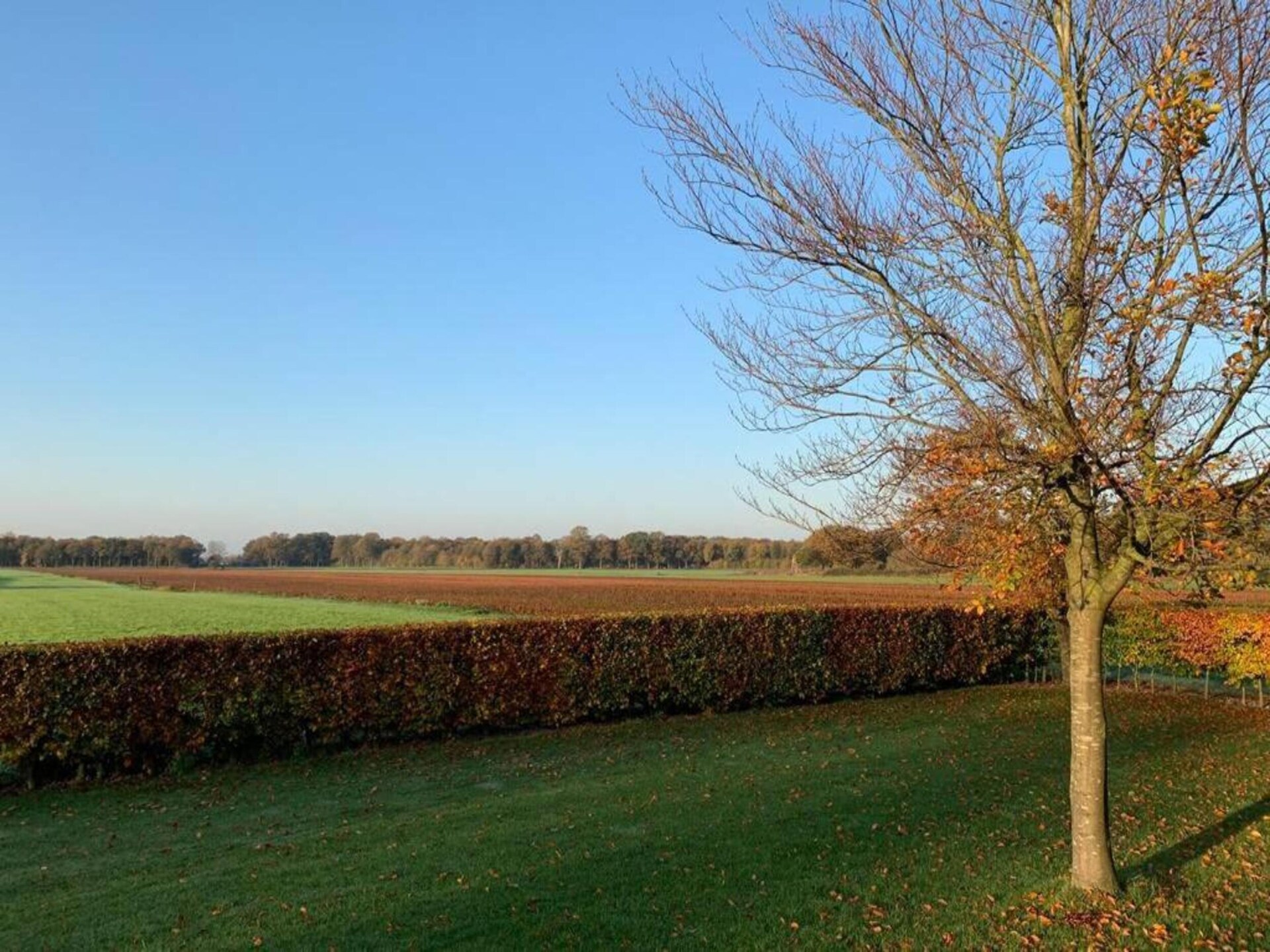 Wellness chalet met tuin en sauna op recreatiepark Tolplas in Hoge Hexel - foto 33