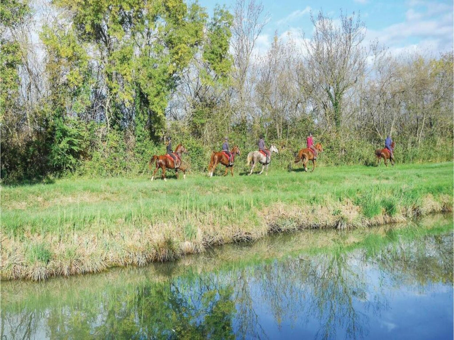 Stijlvolle villa aan het water in Aigues-Mortes, 4 km van zee - foto 34