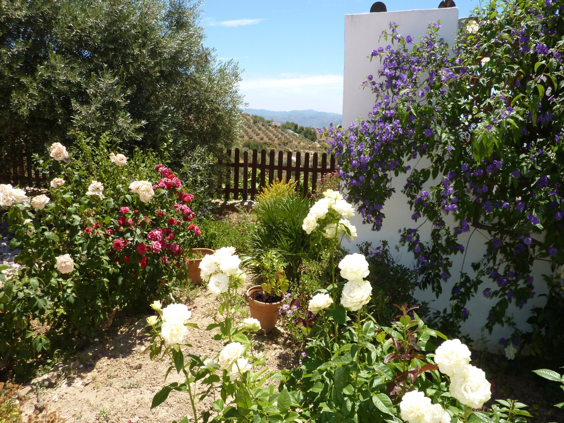4-persoons villa met privézwembad in Villanueva de la Concepción - foto 18