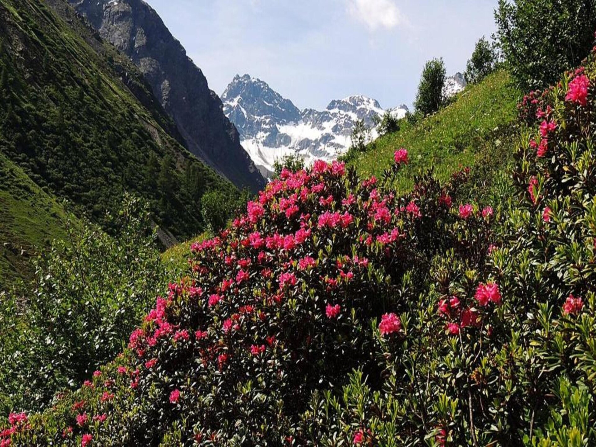 Knus appartement op 1500m hoogte in St. Gallenkirch, vlakbij de piste - foto 31