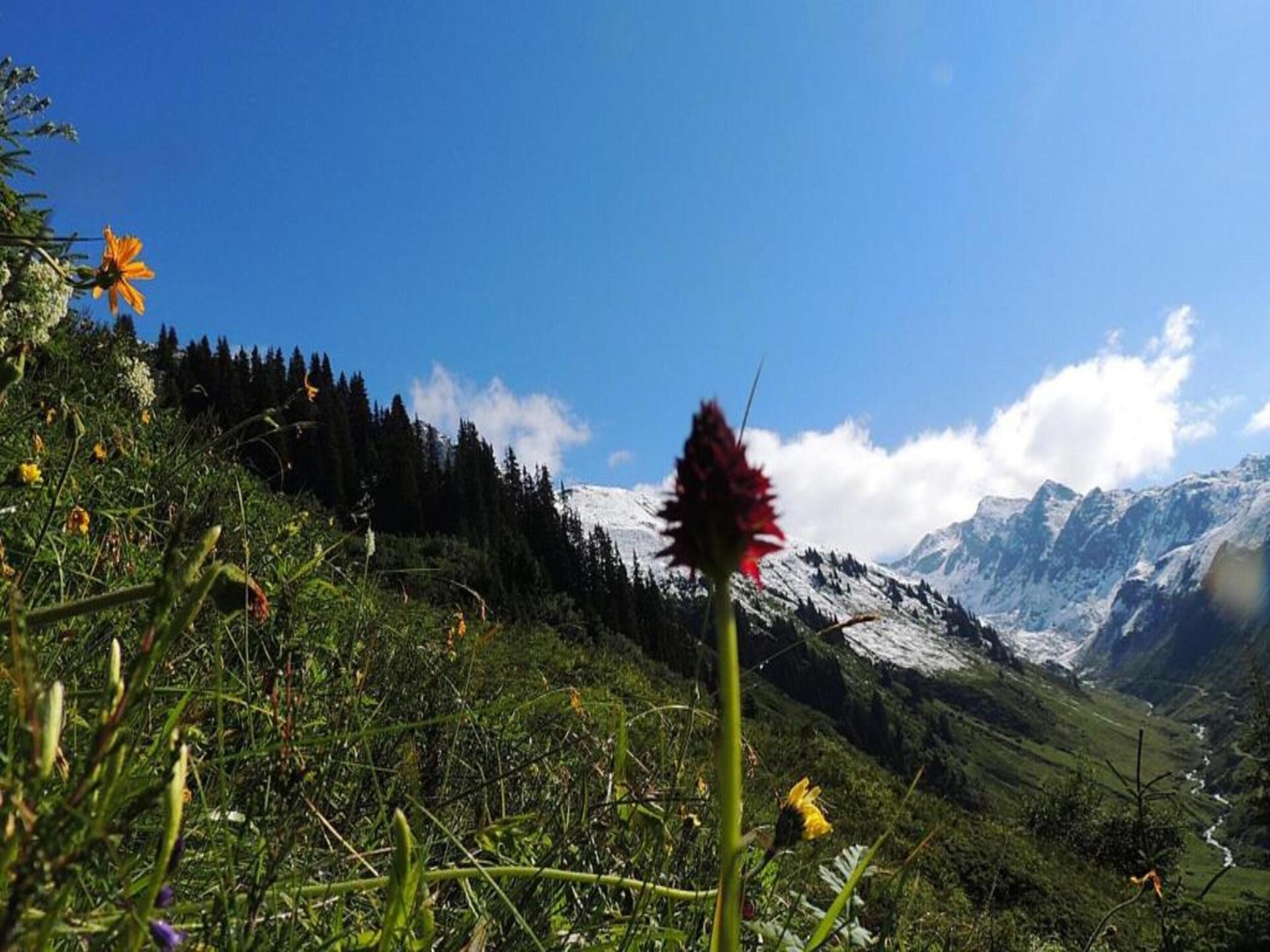 Knus appartement op 1500m hoogte in St. Gallenkirch, vlakbij de piste - foto 34