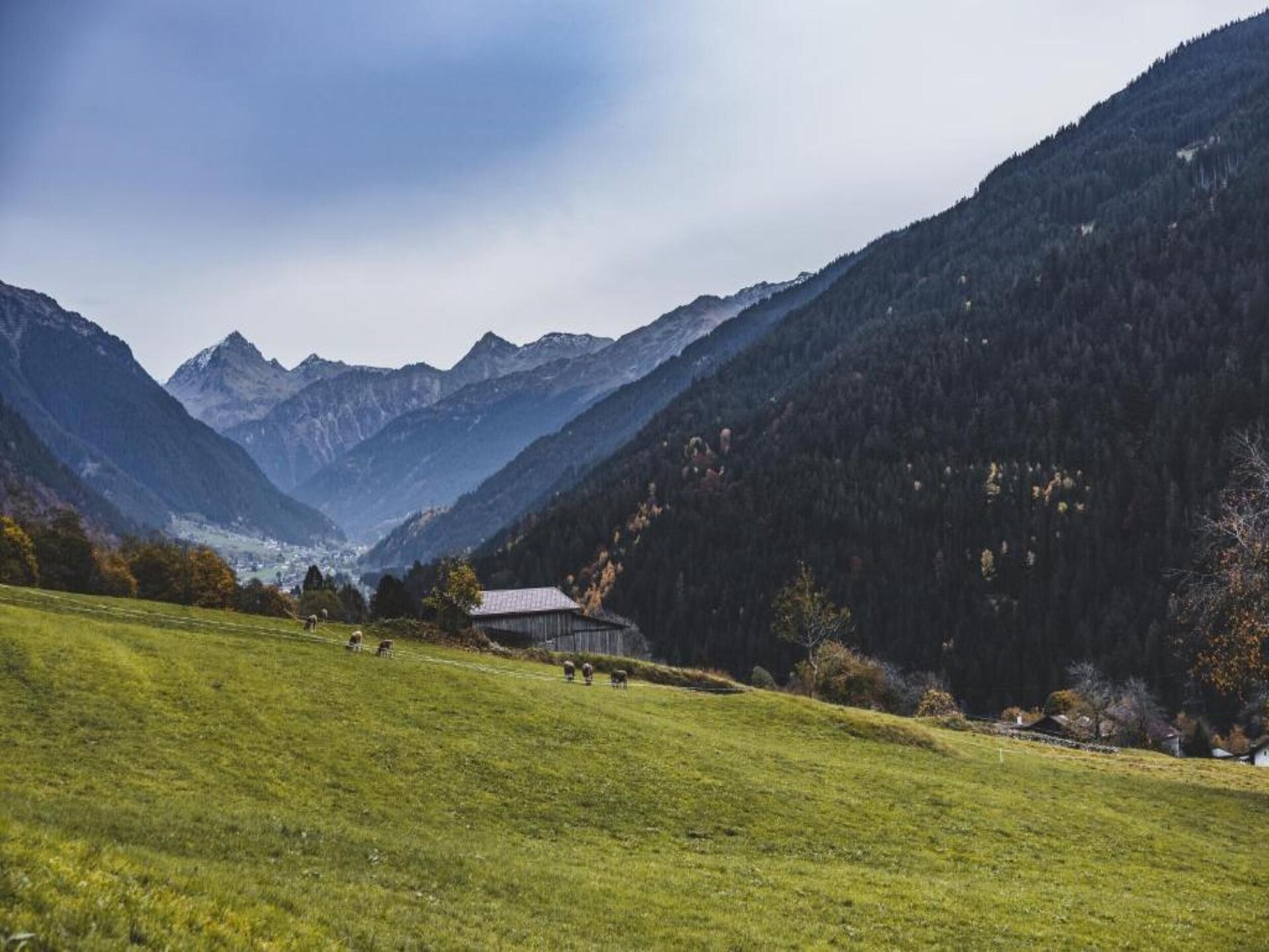 Knus appartement op 1500m hoogte in St. Gallenkirch, vlakbij de piste - foto 28