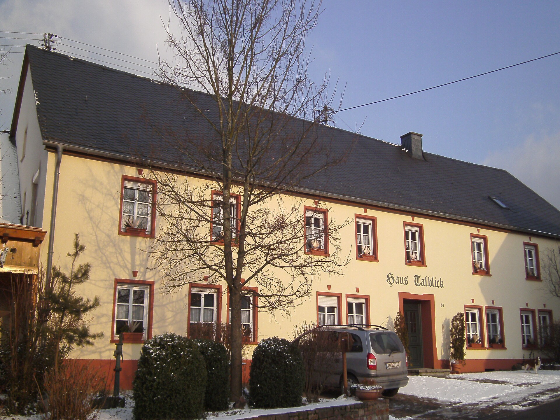 Schwalbennest: Knus appartement in het Hunsrücker bos met dierenweide - foto 39