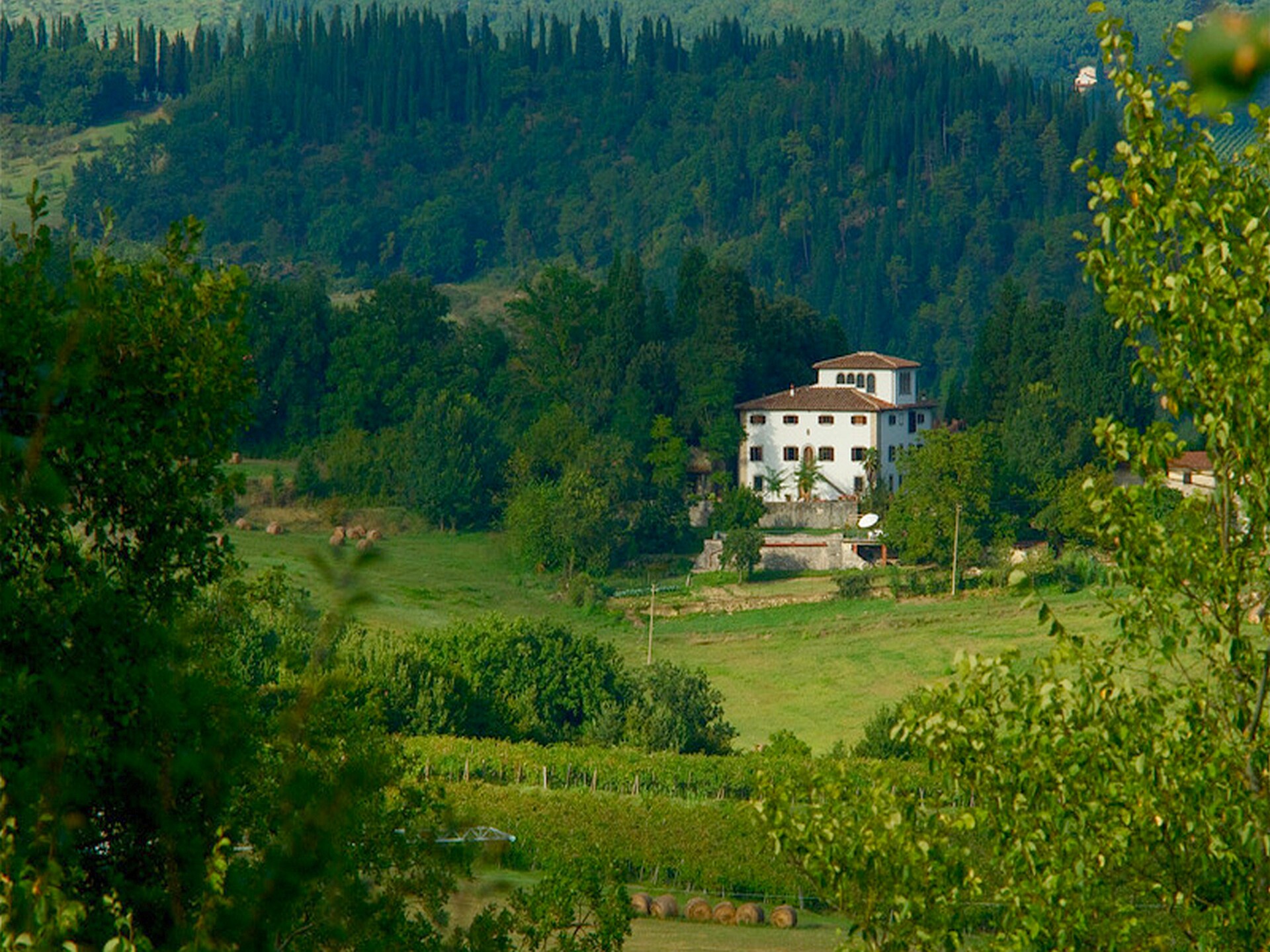 Historische Villa Pepi met privézwembad in de Toscaanse bossen bij Florence - foto 39