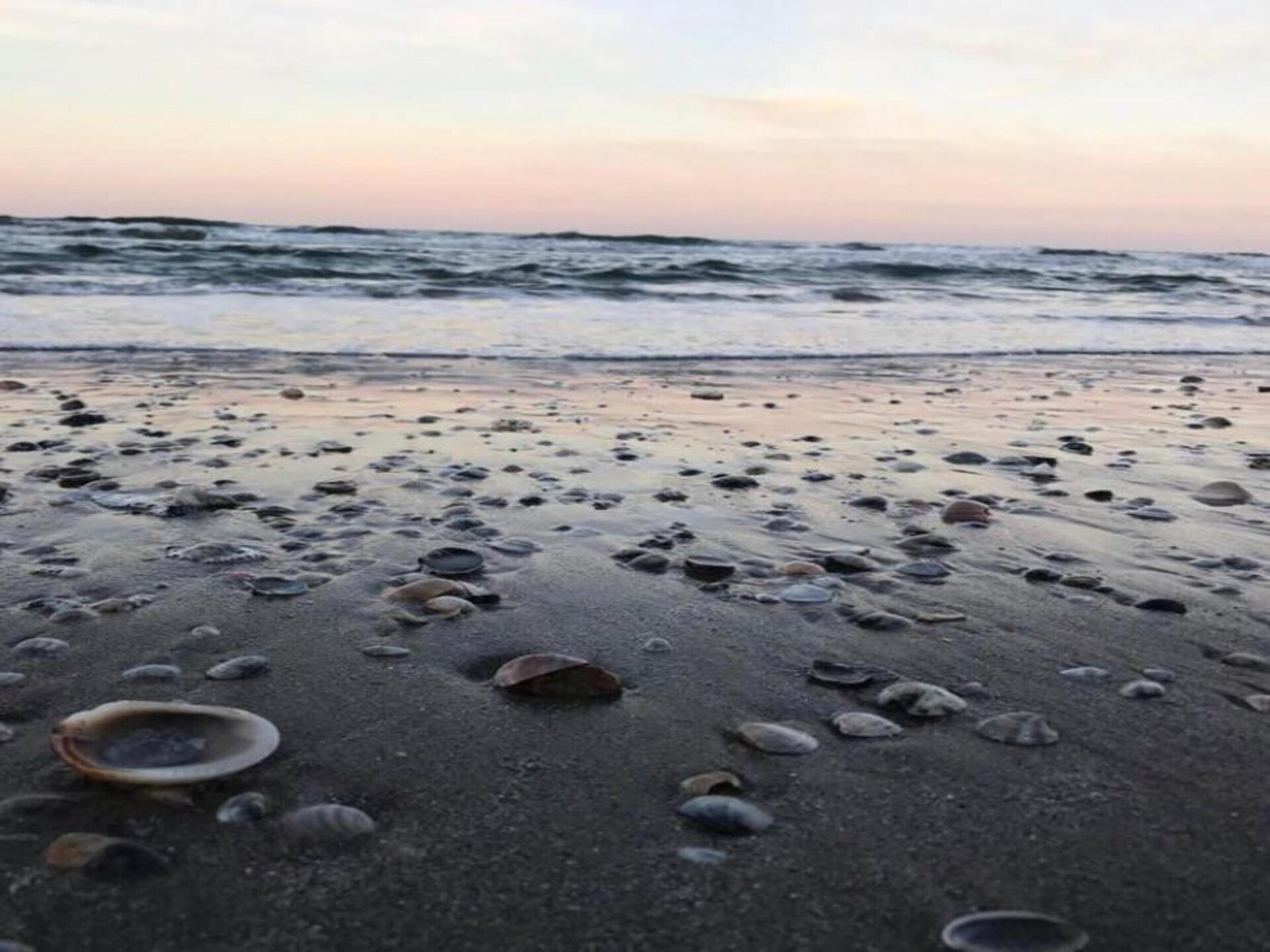 Casa Uva: Ruim vakantiehuis met zwembad op 10 km van de Adriatische kust - foto 30