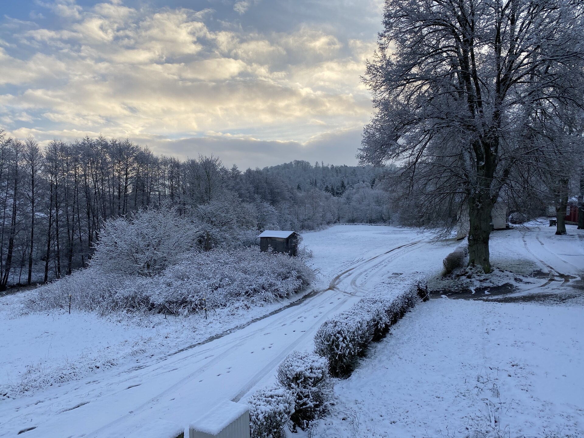 Vrijstaand boshuisje aan de golfbaan met tuin, vlakbij meer en Harz - foto 31