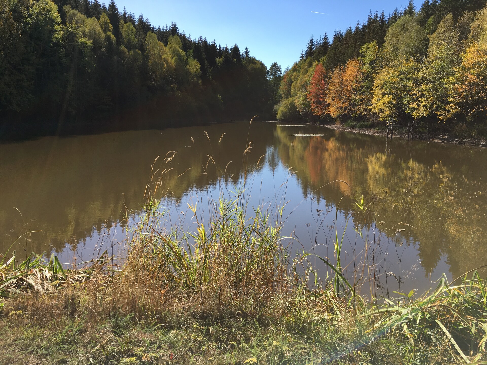 Vrijstaand boshuisje aan de golfbaan met tuin, vlakbij meer en Harz - foto 32