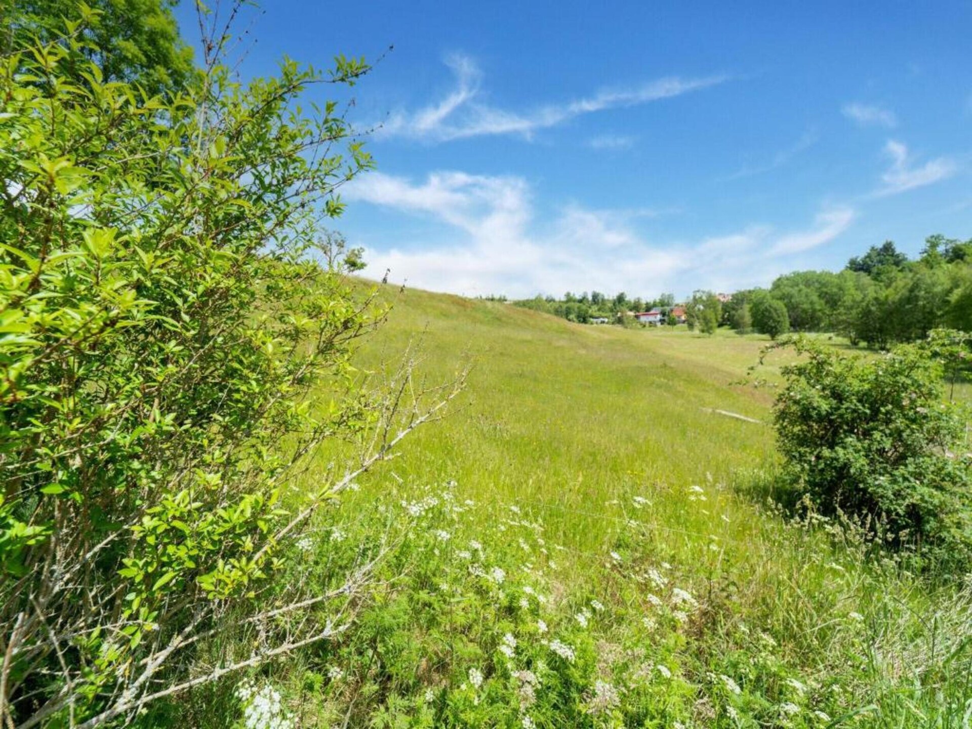 Vrijstaand boshuisje aan de golfbaan met tuin, vlakbij meer en Harz - foto 34
