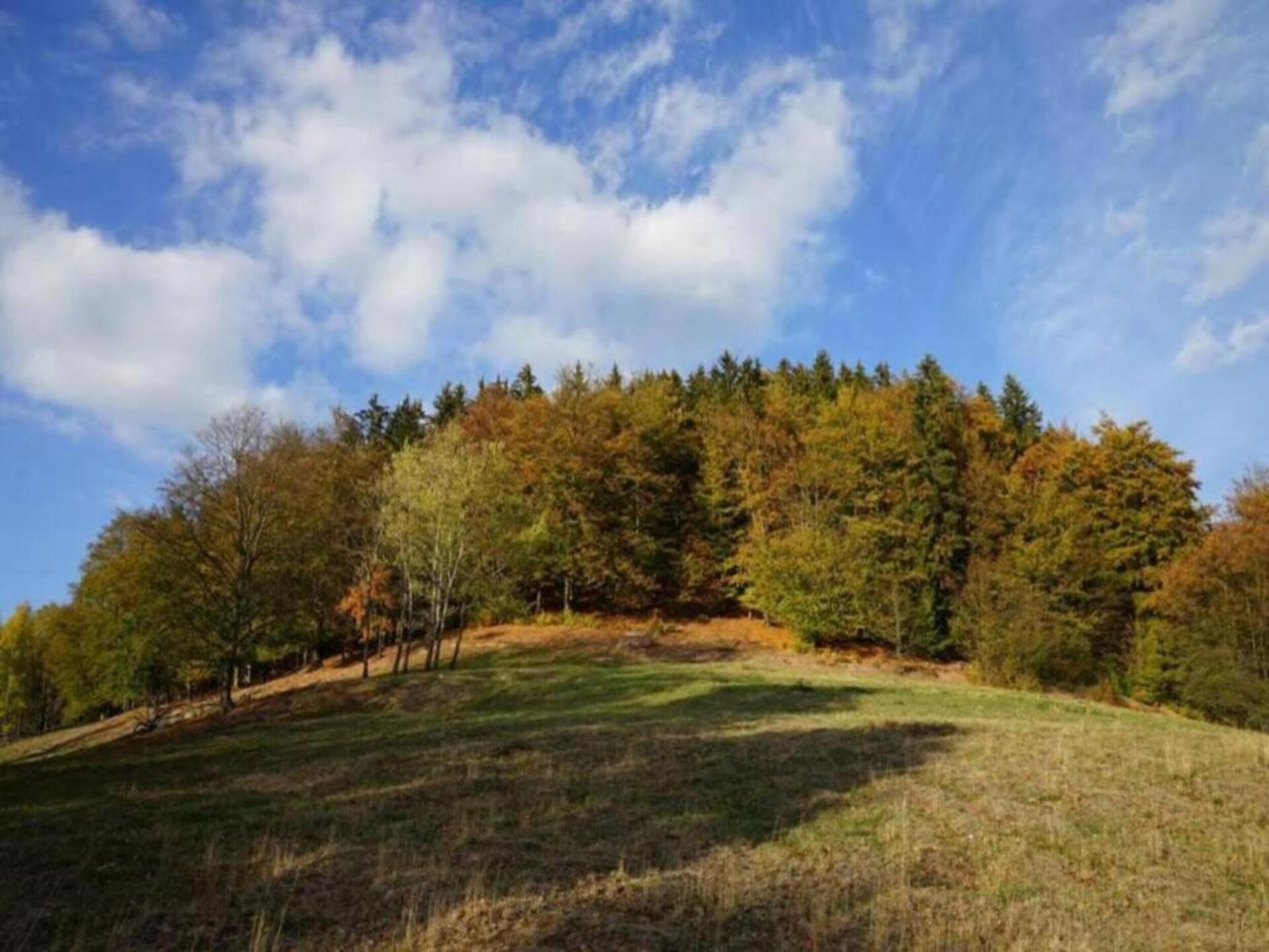 Vrijstaand boshuisje aan de golfbaan met tuin, vlakbij meer en Harz - foto 30