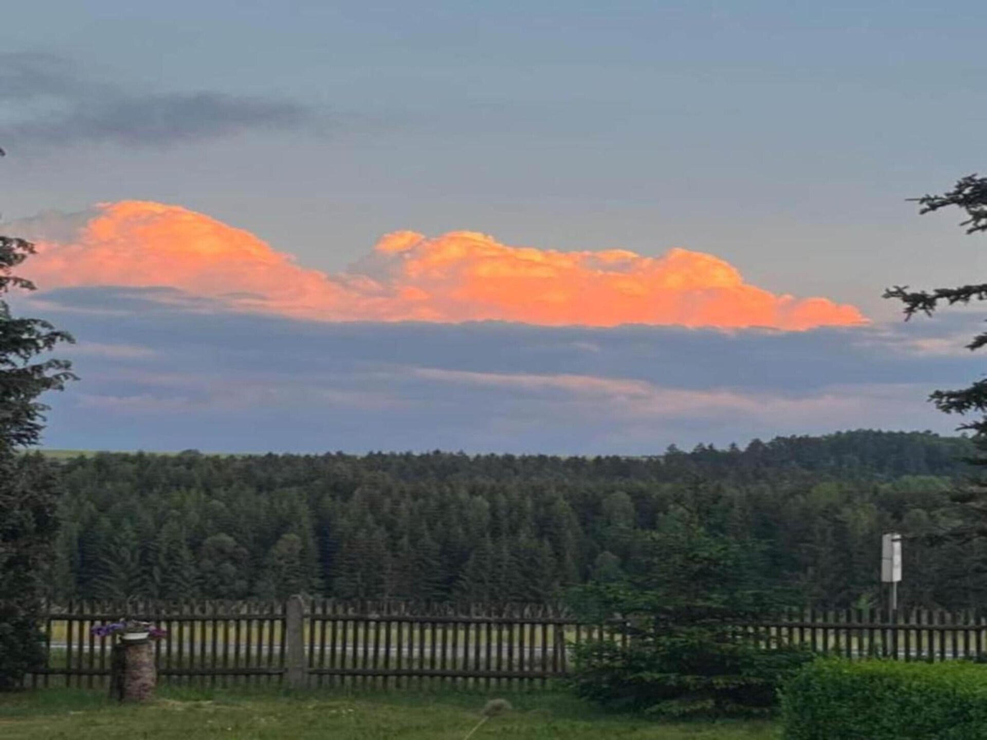Vrijstaand boshuisje aan de golfbaan met tuin, vlakbij meer en Harz - foto 35