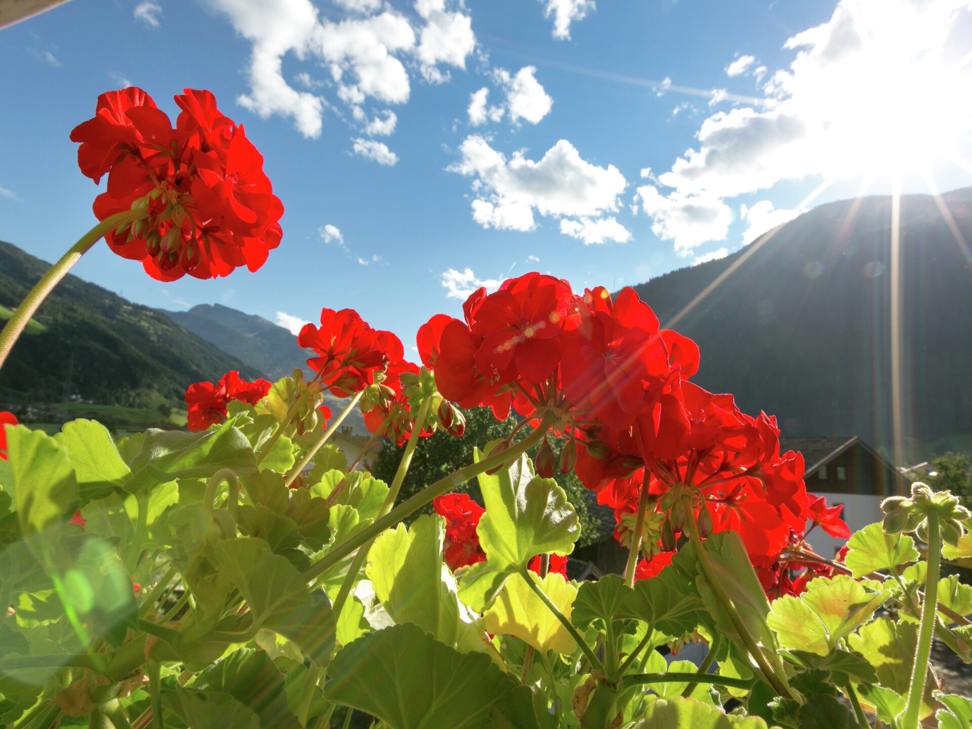 Aan de piste: Ruim appartement Lanthaler in Aschau im Zillertal - foto 35