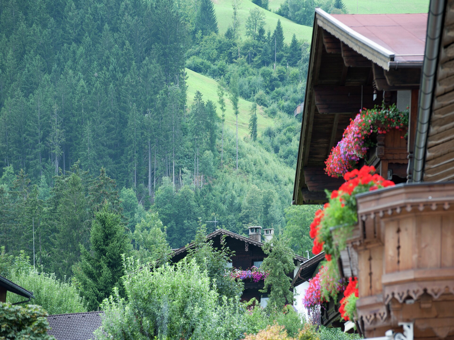 Aan de piste: Ruim appartement Lanthaler in Aschau im Zillertal - foto 27