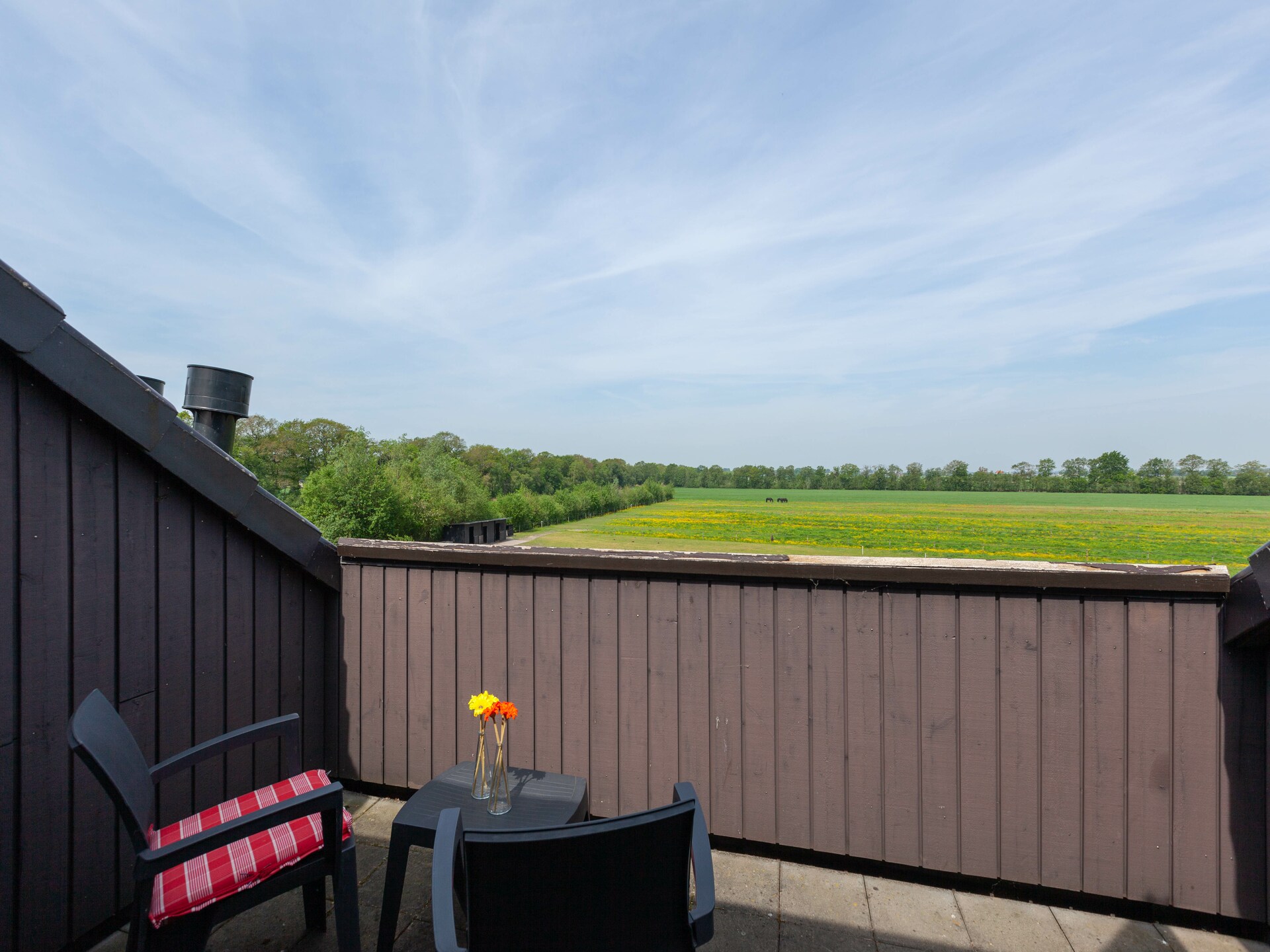 Lyts Sypenstien: Luxe vakantiehuis met sauna in bosrijk Langweer - foto 16