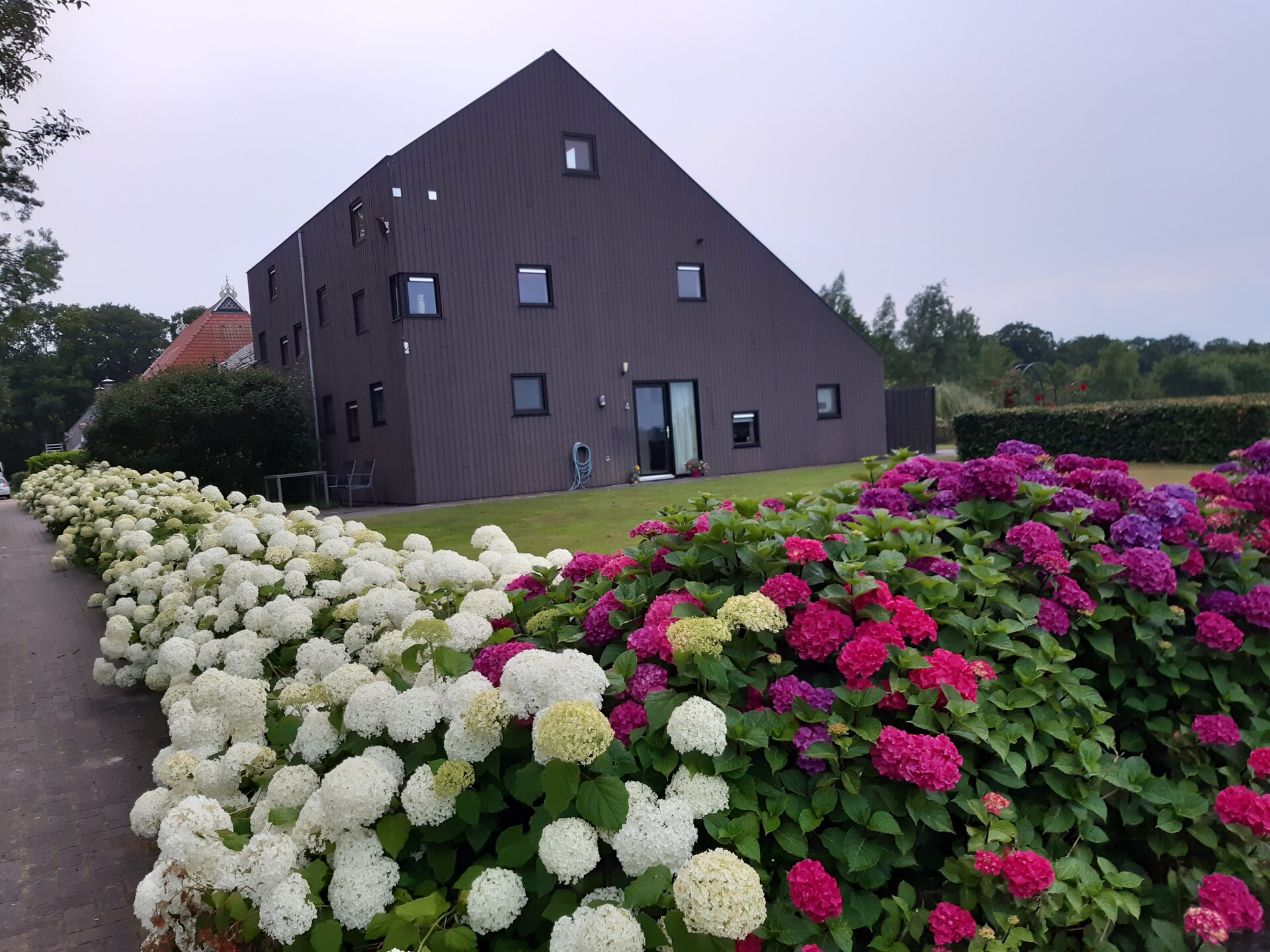 Lyts Sypenstien: Luxe vakantiehuis met sauna in bosrijk Langweer - foto 6