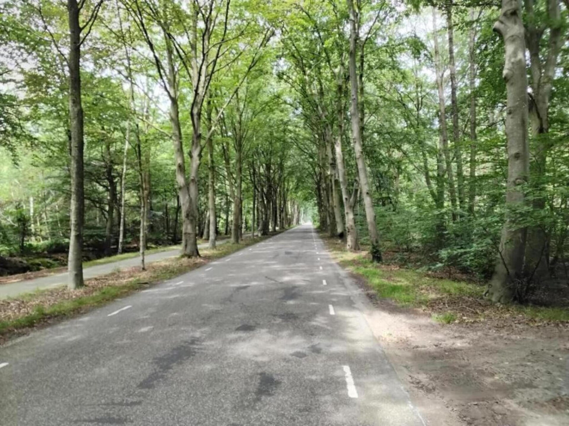 Lyts Sypenstien: Luxe vakantiehuis met sauna in bosrijk Langweer - foto 33