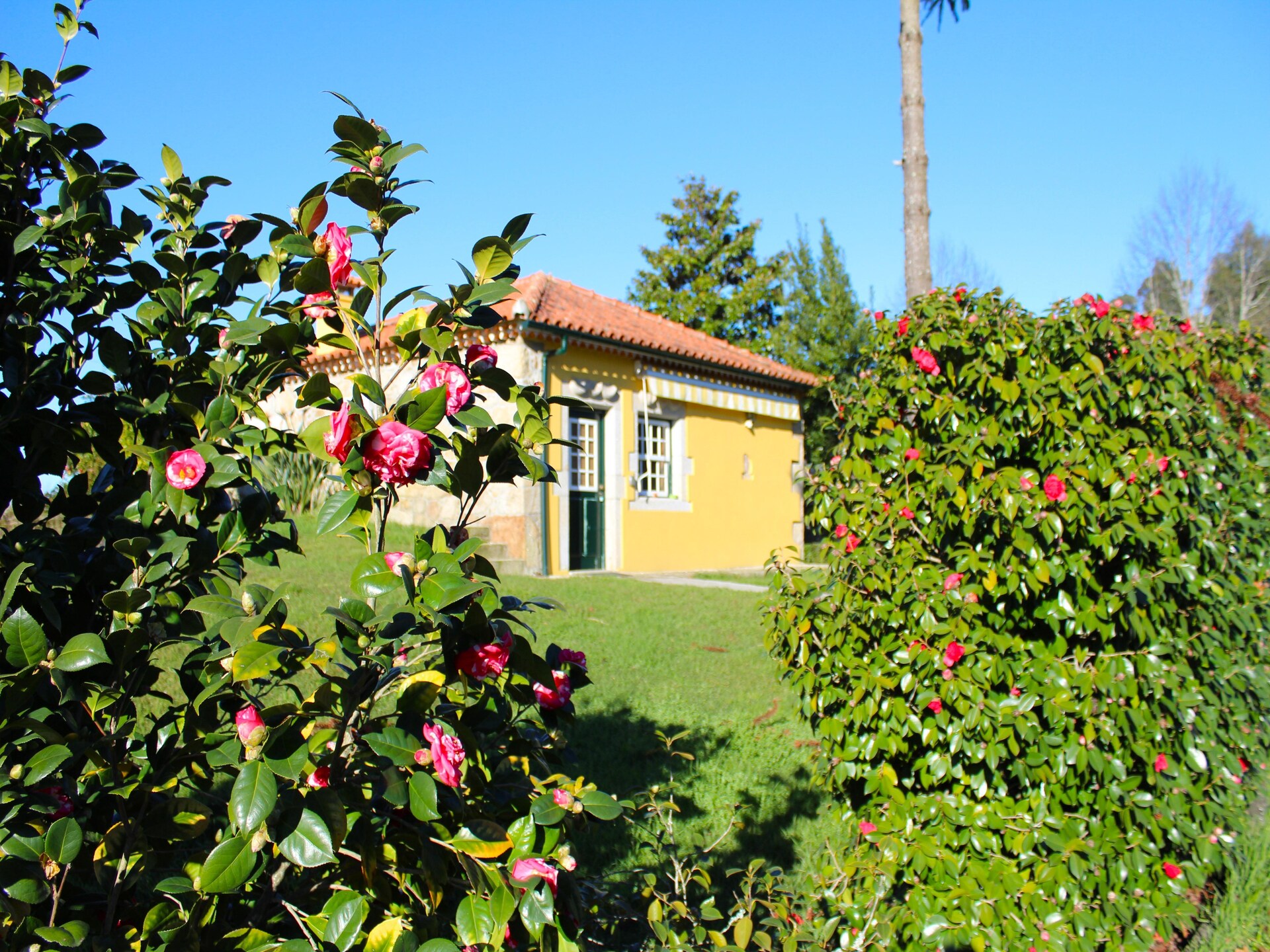 Casa do Pelourinho: Vrijstaand landhuis in het bos van Ponte de Lima - foto 22